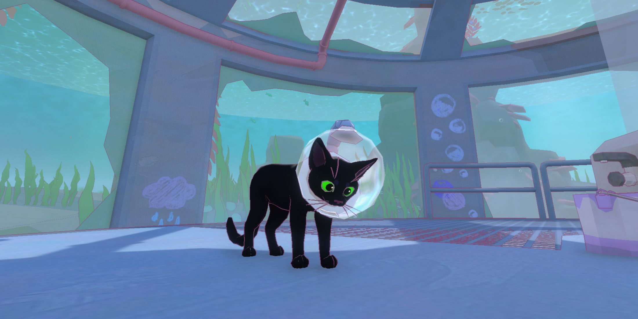 Kitty from Little Kitty Big City in an aquarium. (1)