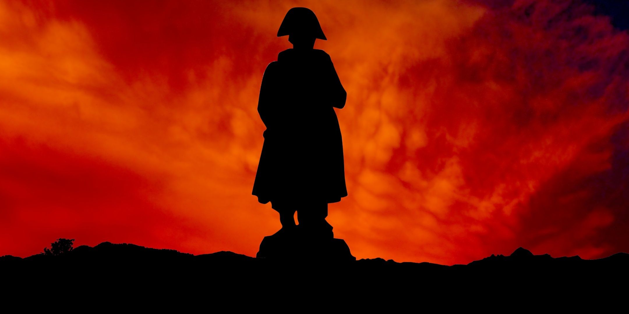 The silhouette of Napoleon Bonaparte.