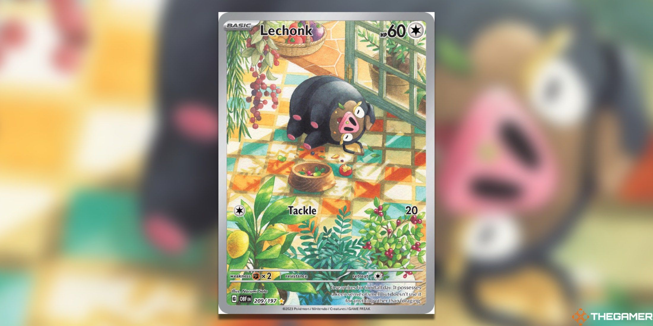 The Obsidian Flames Lechonk Illustration Rare from the Pokemon TCG.
