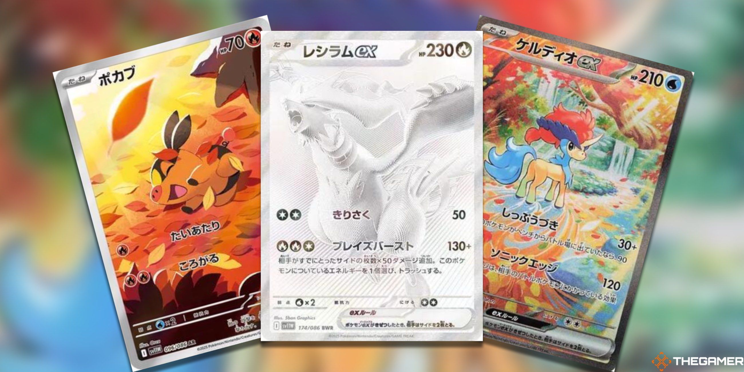 Three cards fanned out: Tepig Art Rare, Reshiram ex Black White Rare, and Keldeo ex Special Art Rare from the Pokemon TCG.