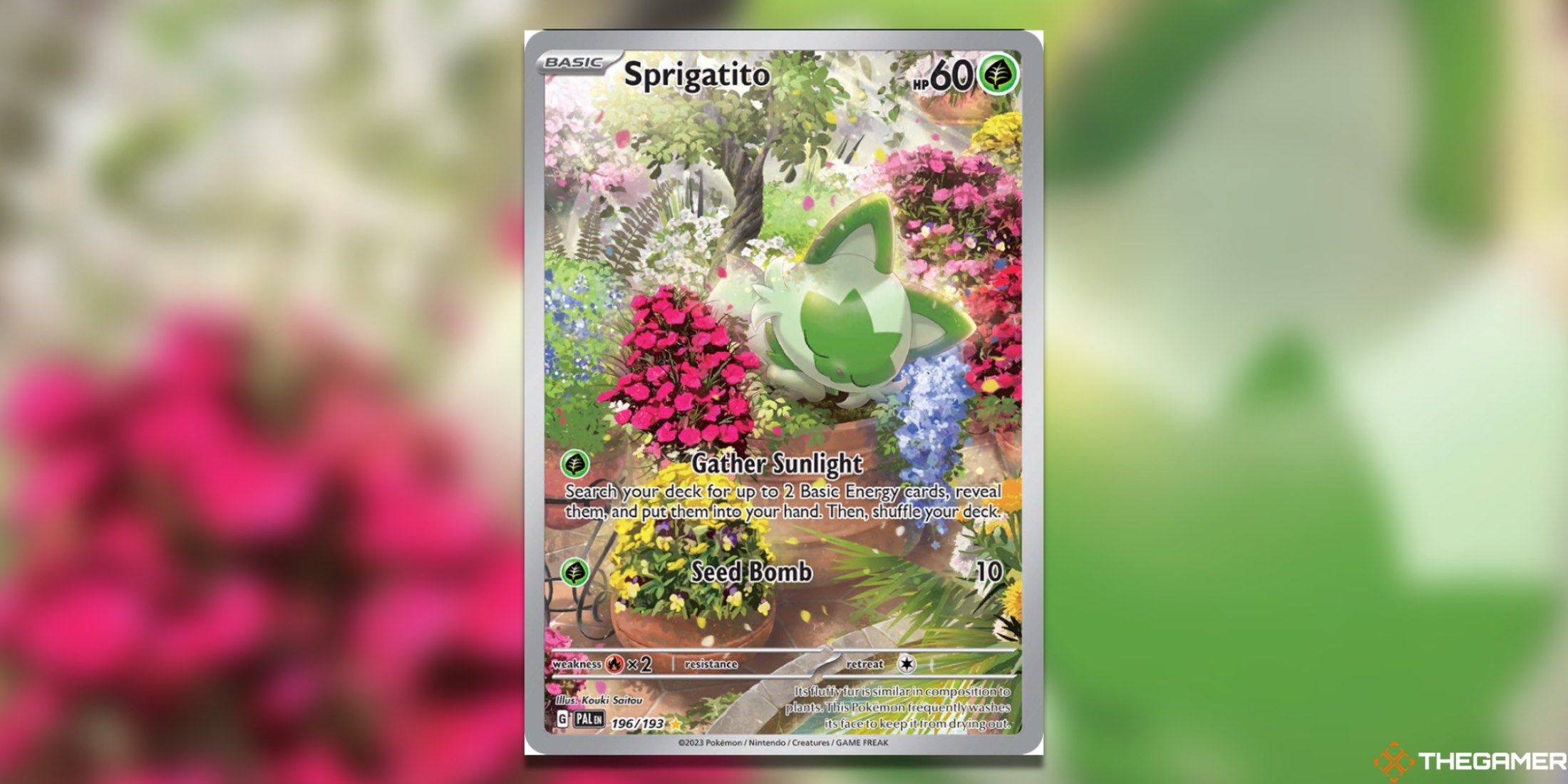 The Paldea Evolved Illustration Rare Sprigatito from the Pokemon TCG.