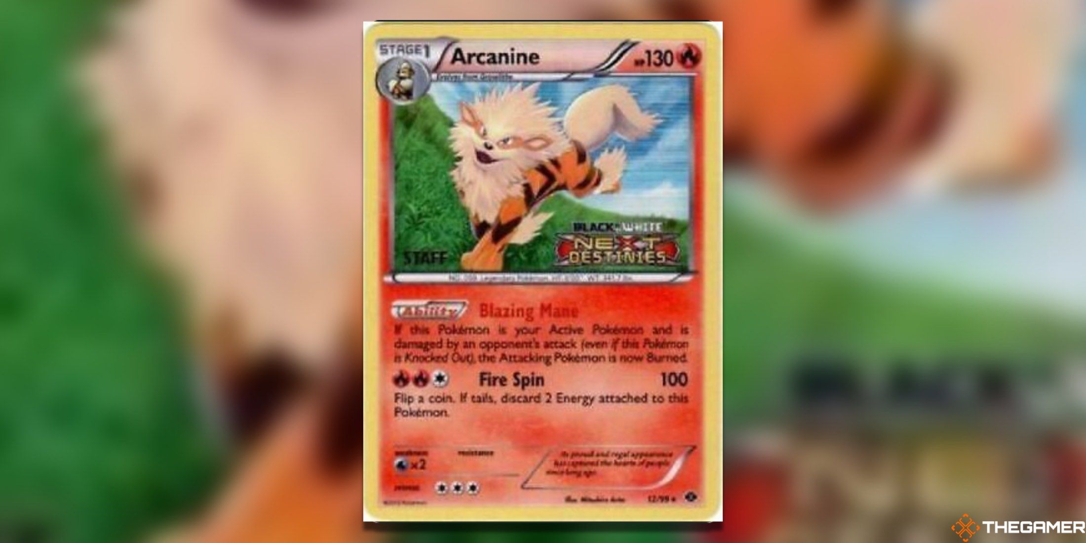 The Prerelease Arcanine BW Promo in the Pokemon TCG.
