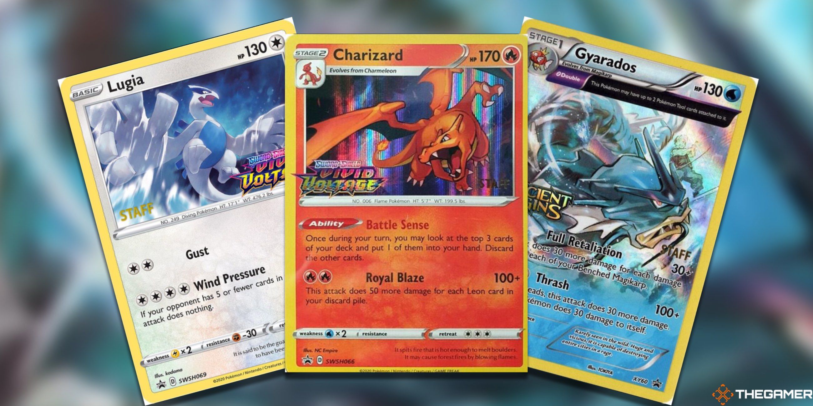 Three Fanned out cards: Lugia and Charizard Vivid Voltage Staff Prereleases and the Gyarados Ancient Origins Staff Prerelease from the Pokemon TCG.