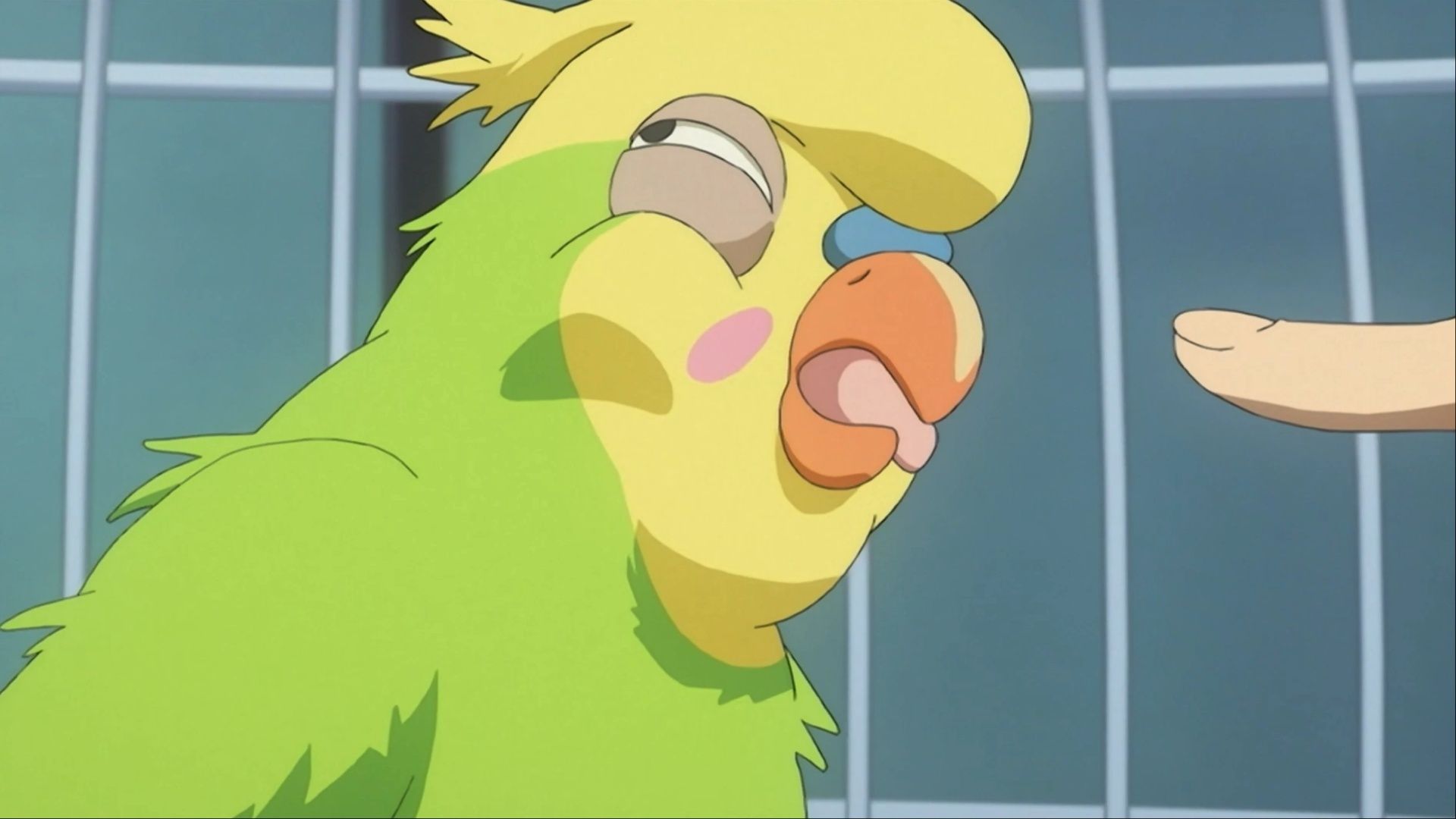 Ryuji pointing at Inko, an unwell-looking parrot, in Toradora.