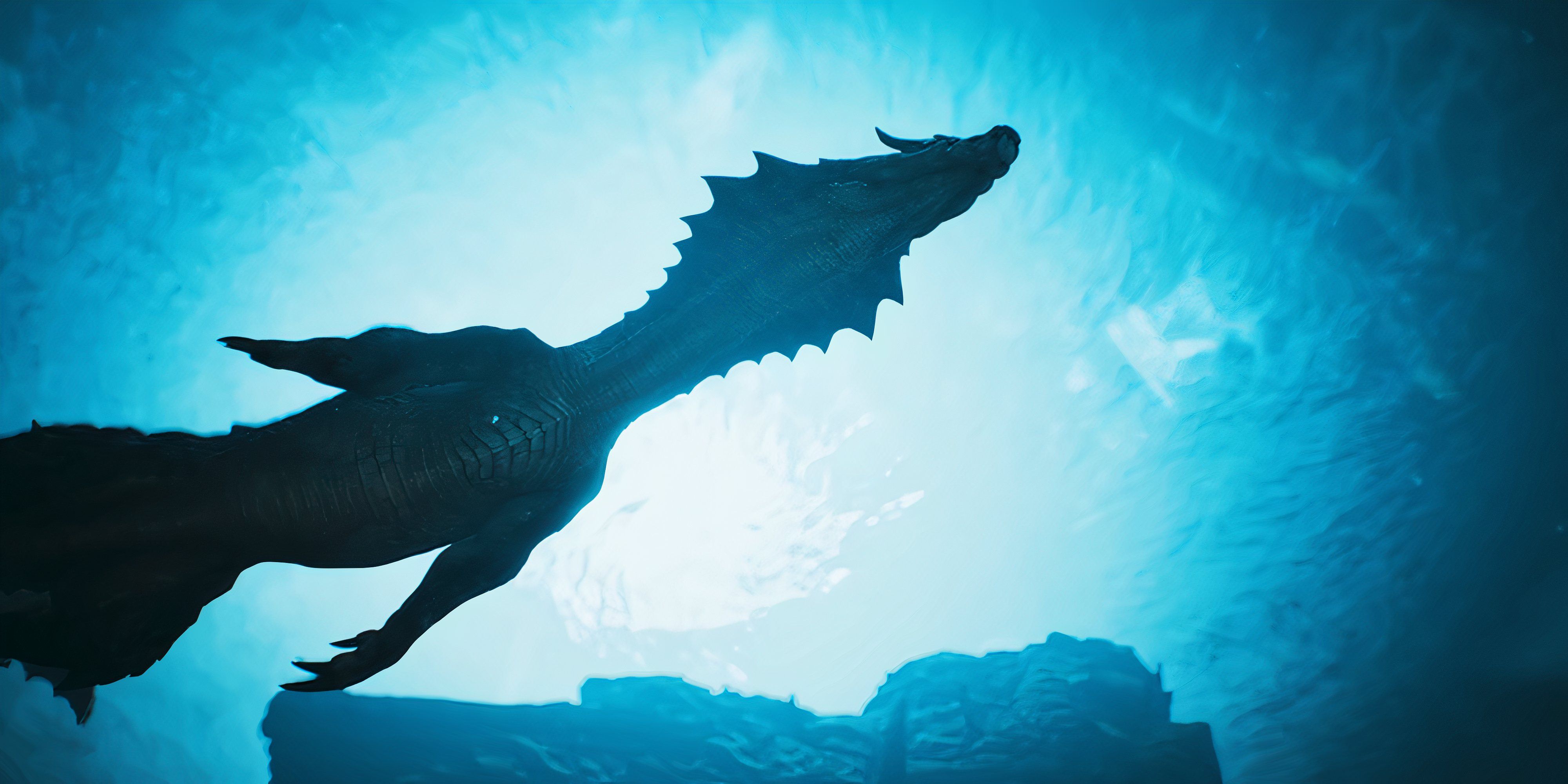 underwater silhouette of a lagiacrus underwater from an underneath perspective.