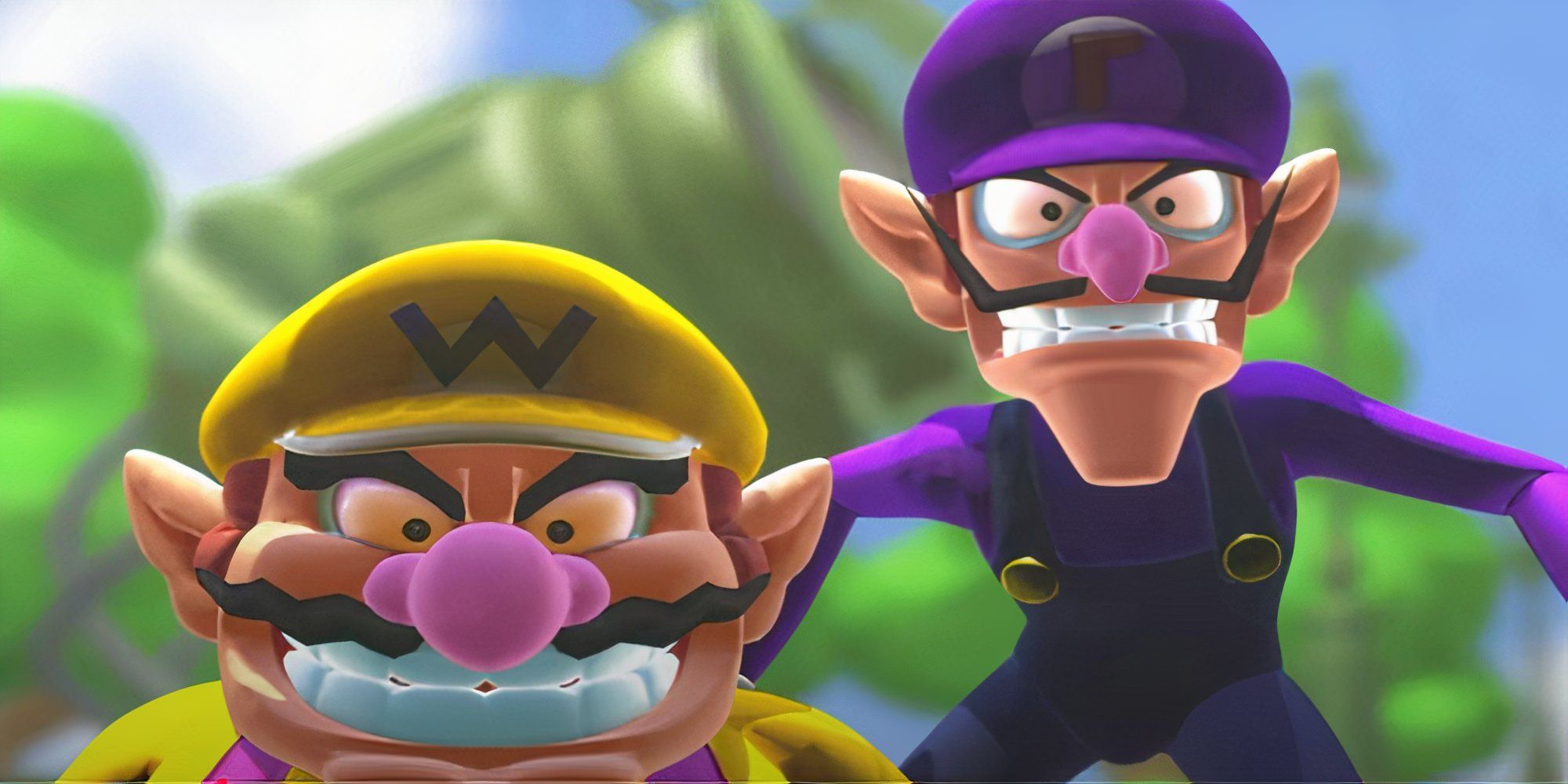 wario-waluigi