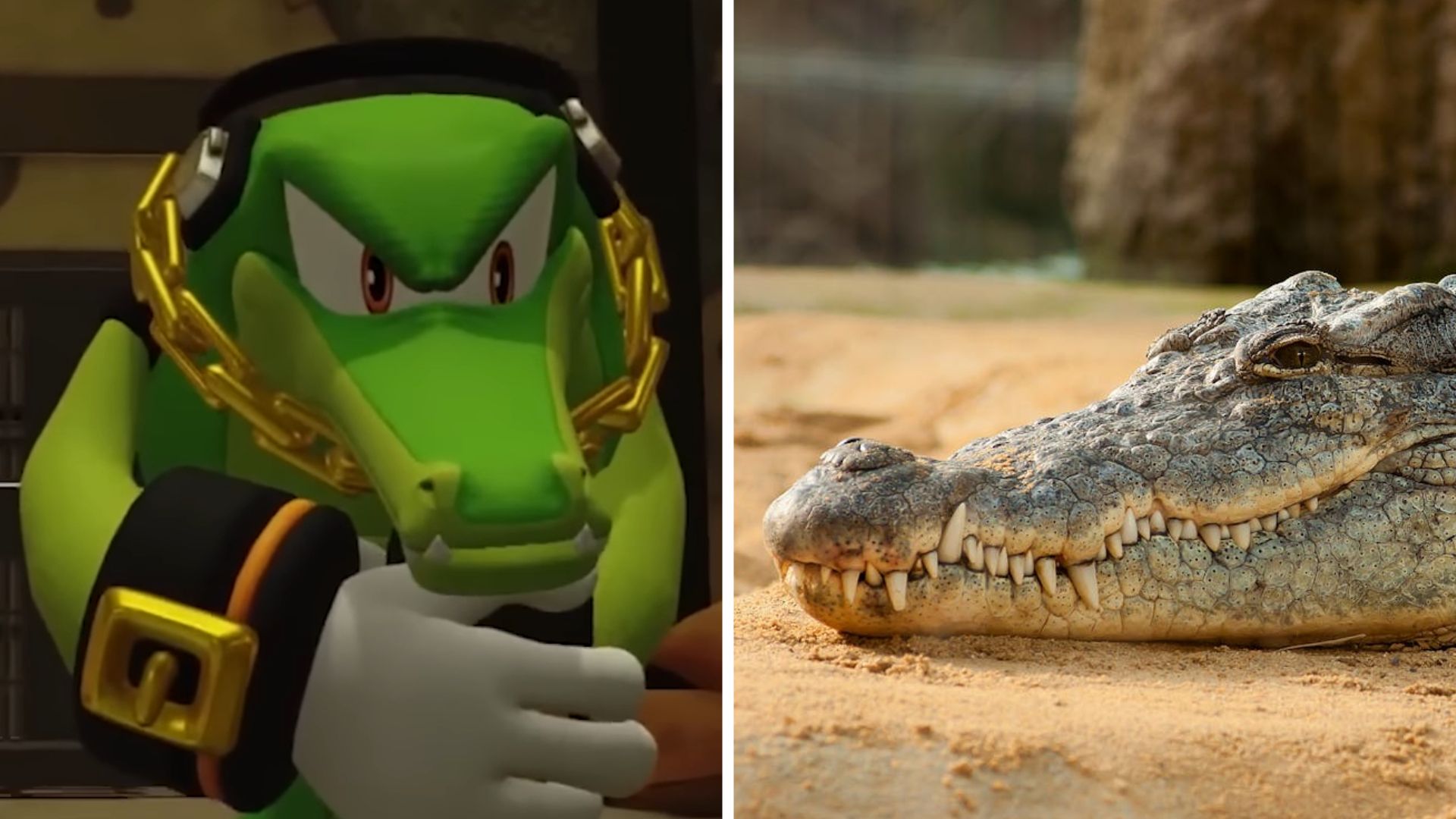 Vector the Crocodile on the left side and a real crocodile on the right side.