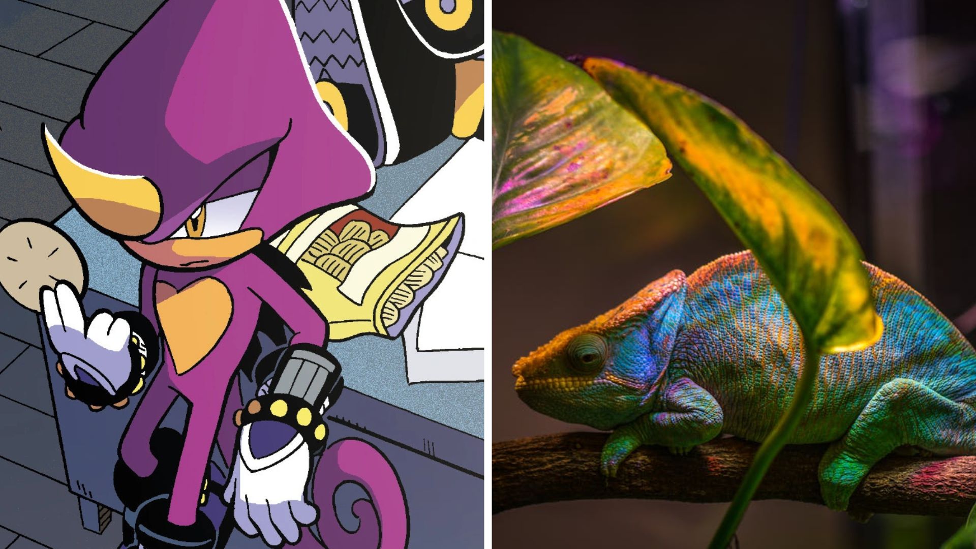 Espio The Chameleon on the left side and a real chameleon on the right side.