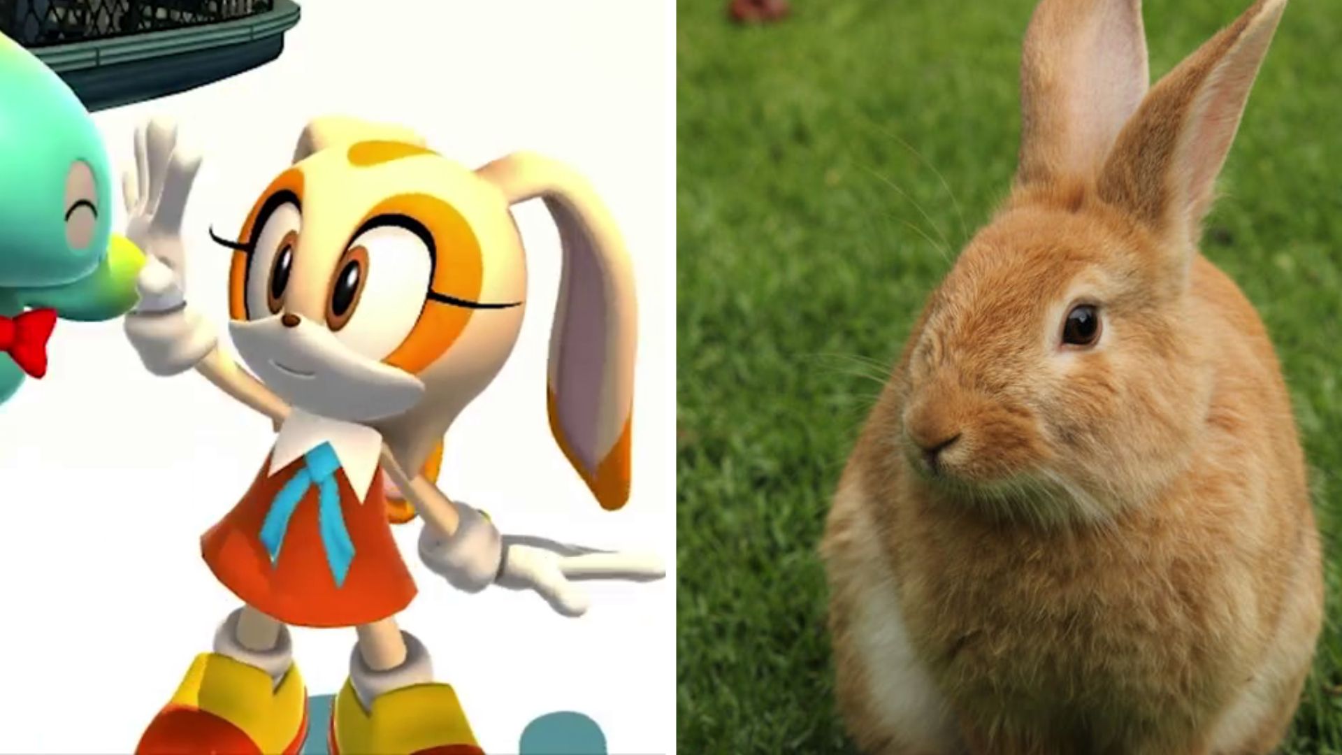 Cream the Rabbit on the left side and a real rabbit on the right side.