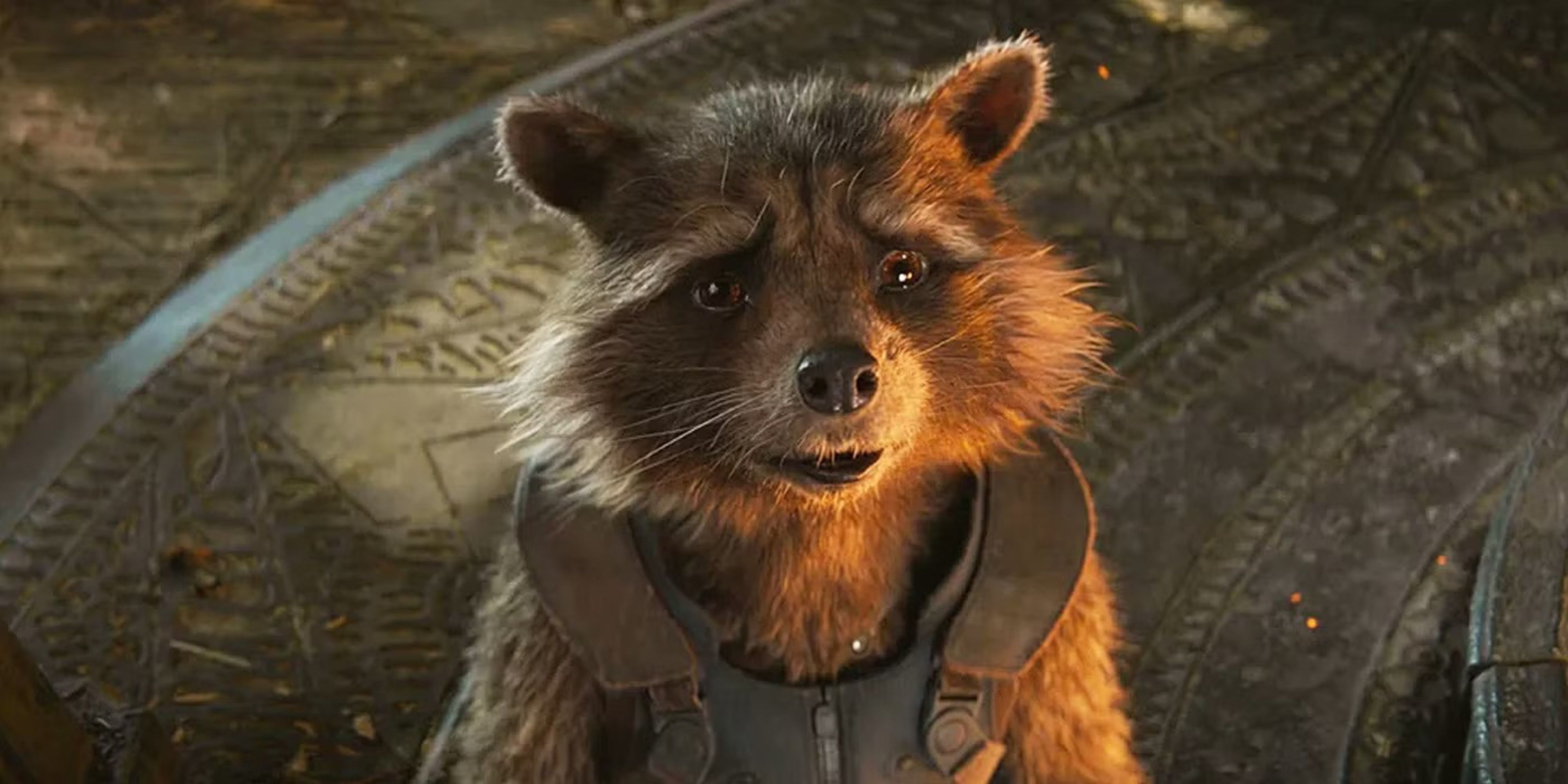 rocket raccoon from the guardians of the galaxy movies.