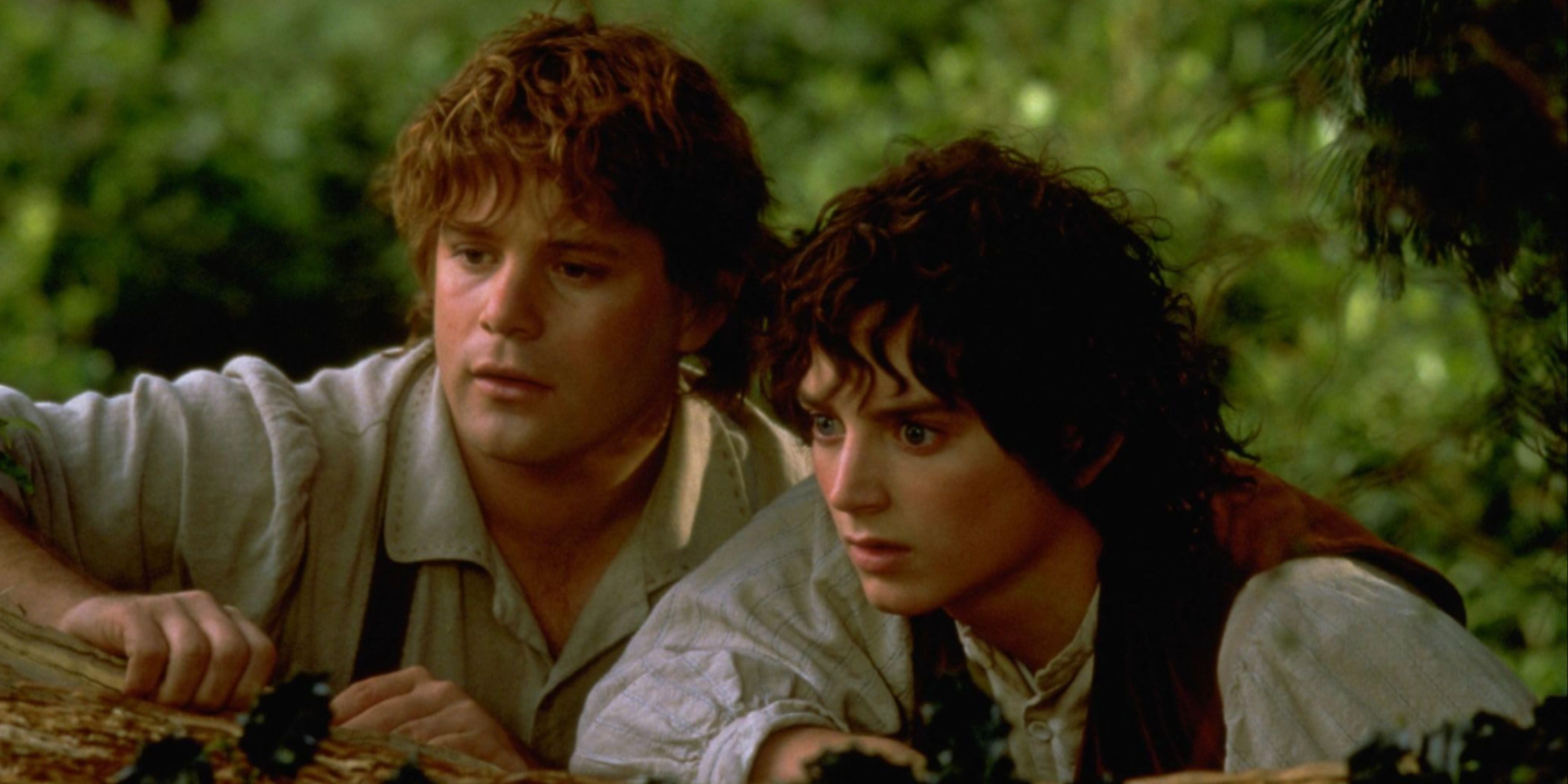 sam and frodo leaning on a log in the fellowship of the ring.