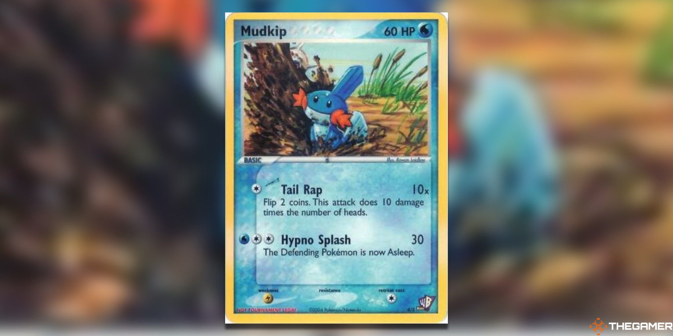 The Kids WB Mudkip from the Pokemon TCG.