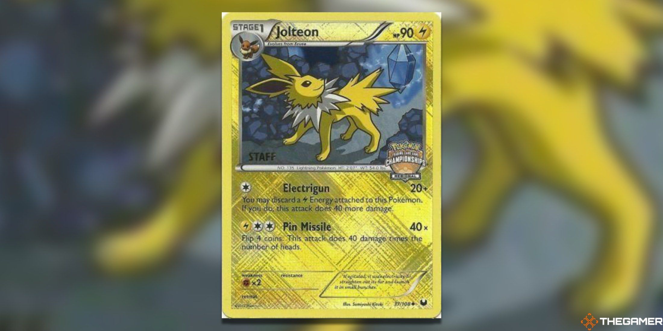 The Regional Championship Cards Jolteon Staff promo from the Pokemon TCG.