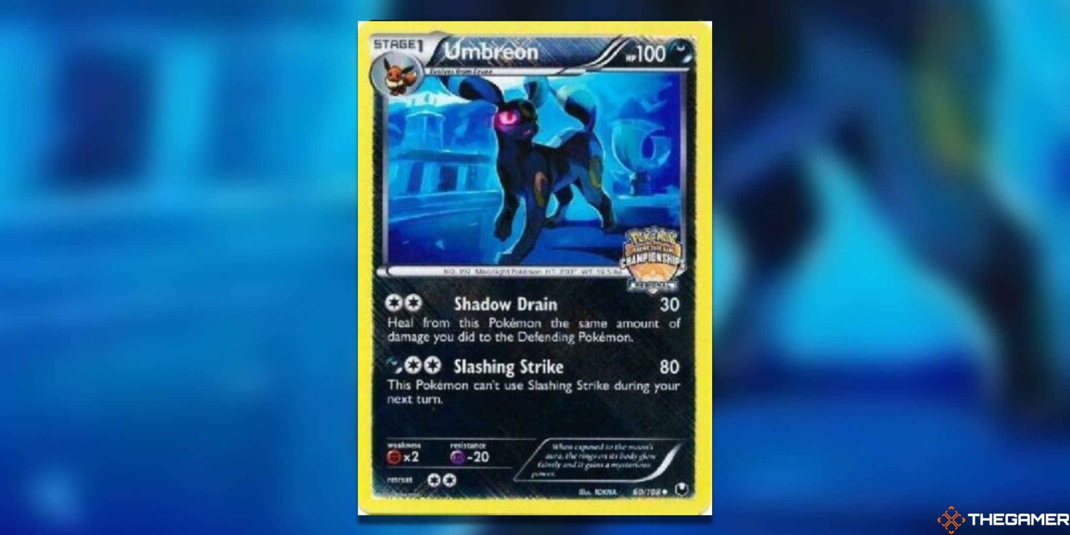 The Regional Championship Cards Umbreon promo from the Pokemon TCG.