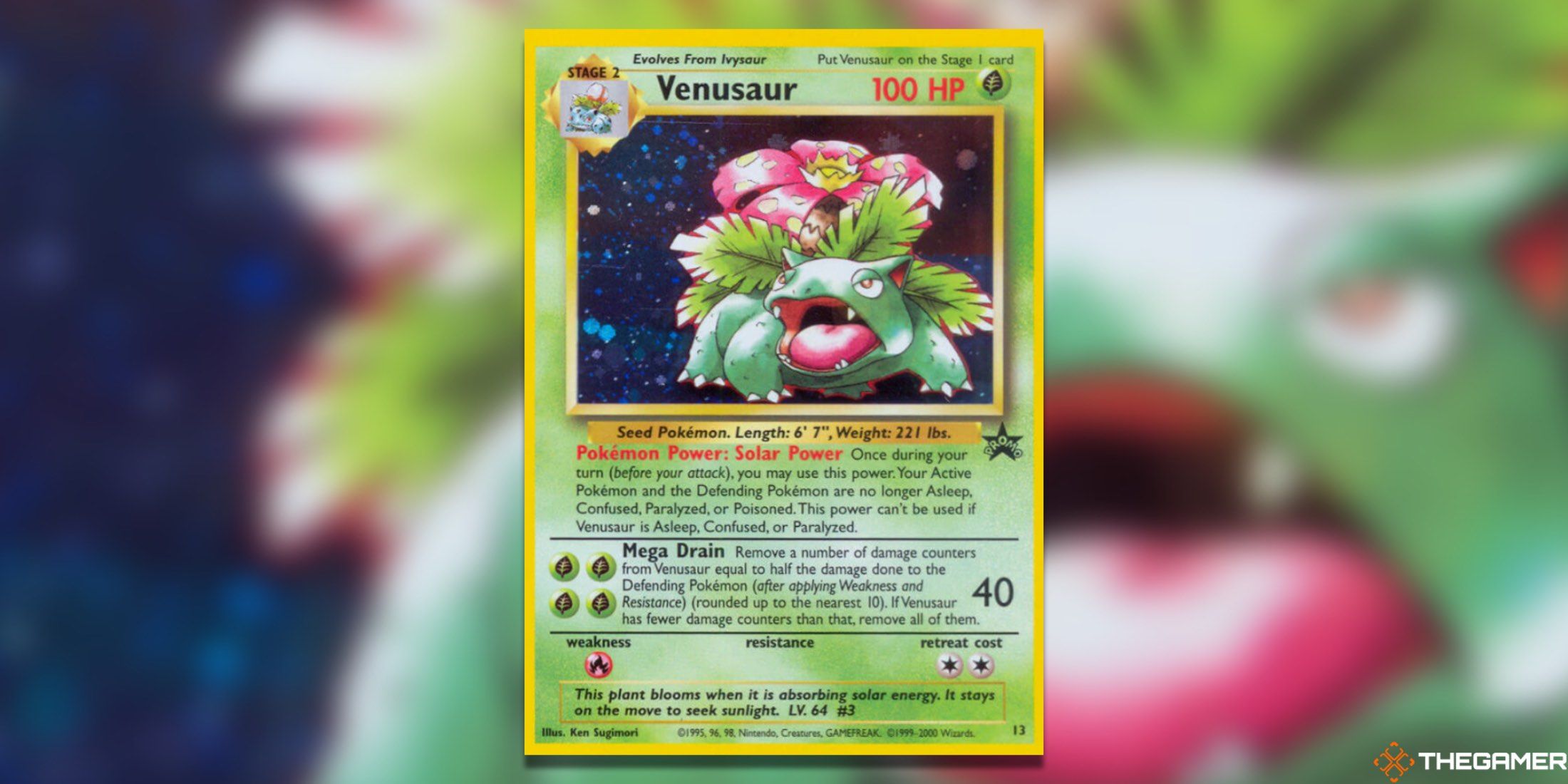 The WOTC Promos Venusaur from the Pokemon TCG.