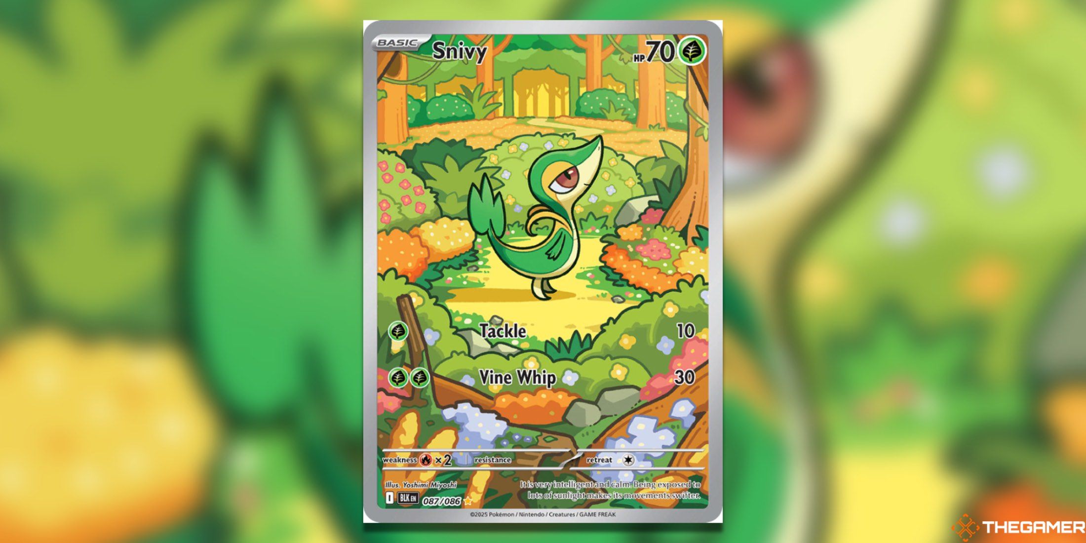 TheBlack Bolt & White Flare Illustration Rare Snivy from the Pokemon TCG.