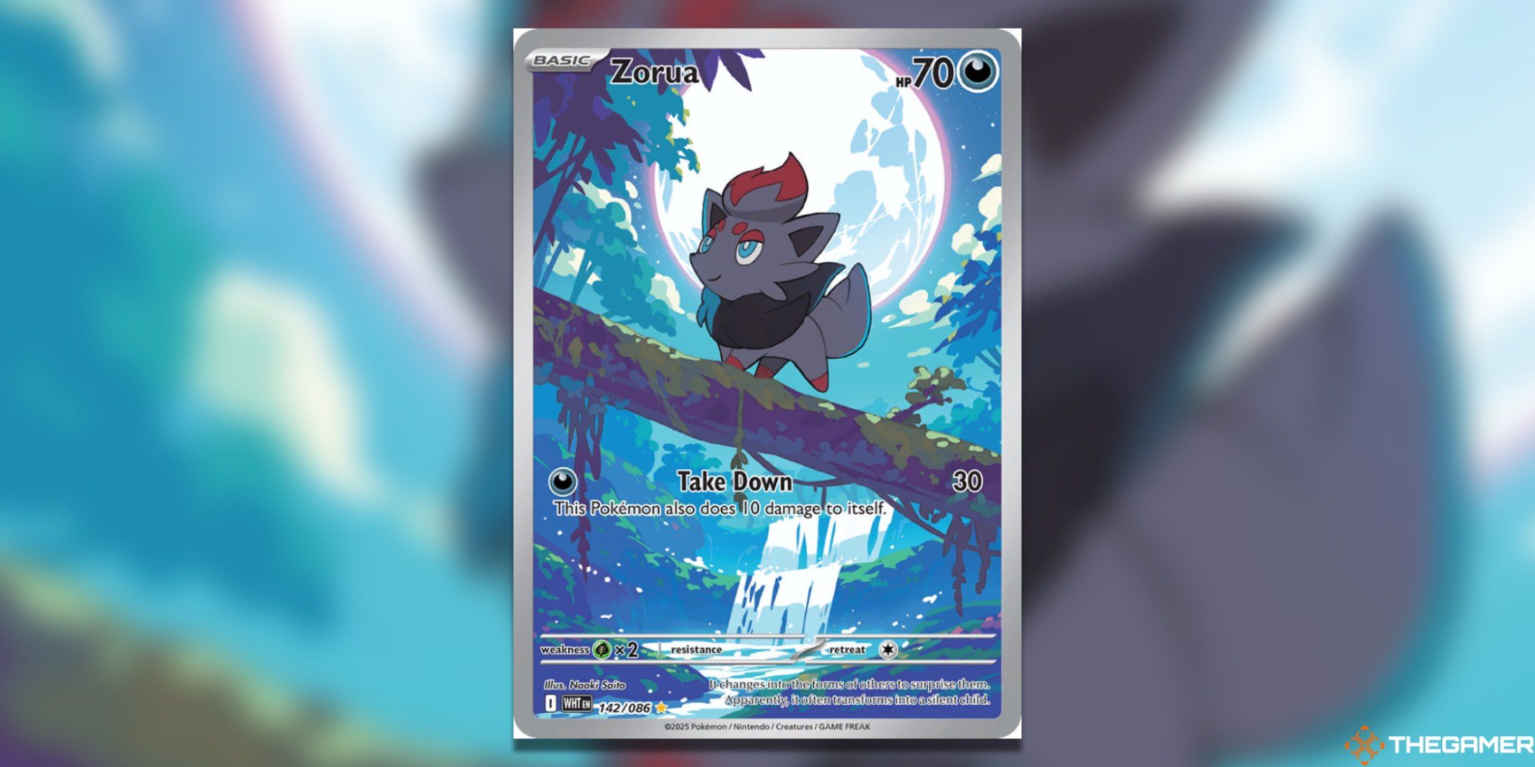 The Black Bolt & White Flare Illustration Rare Zorua from the Pokemon TCG.
