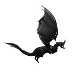 User Display Picture