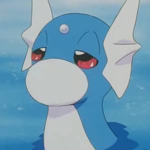 User Display Picture