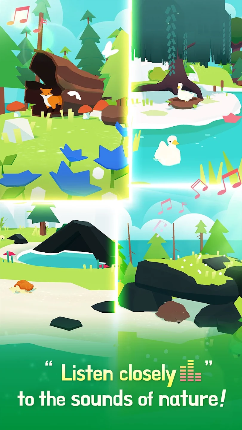 forest-island-press-image-4.jpg