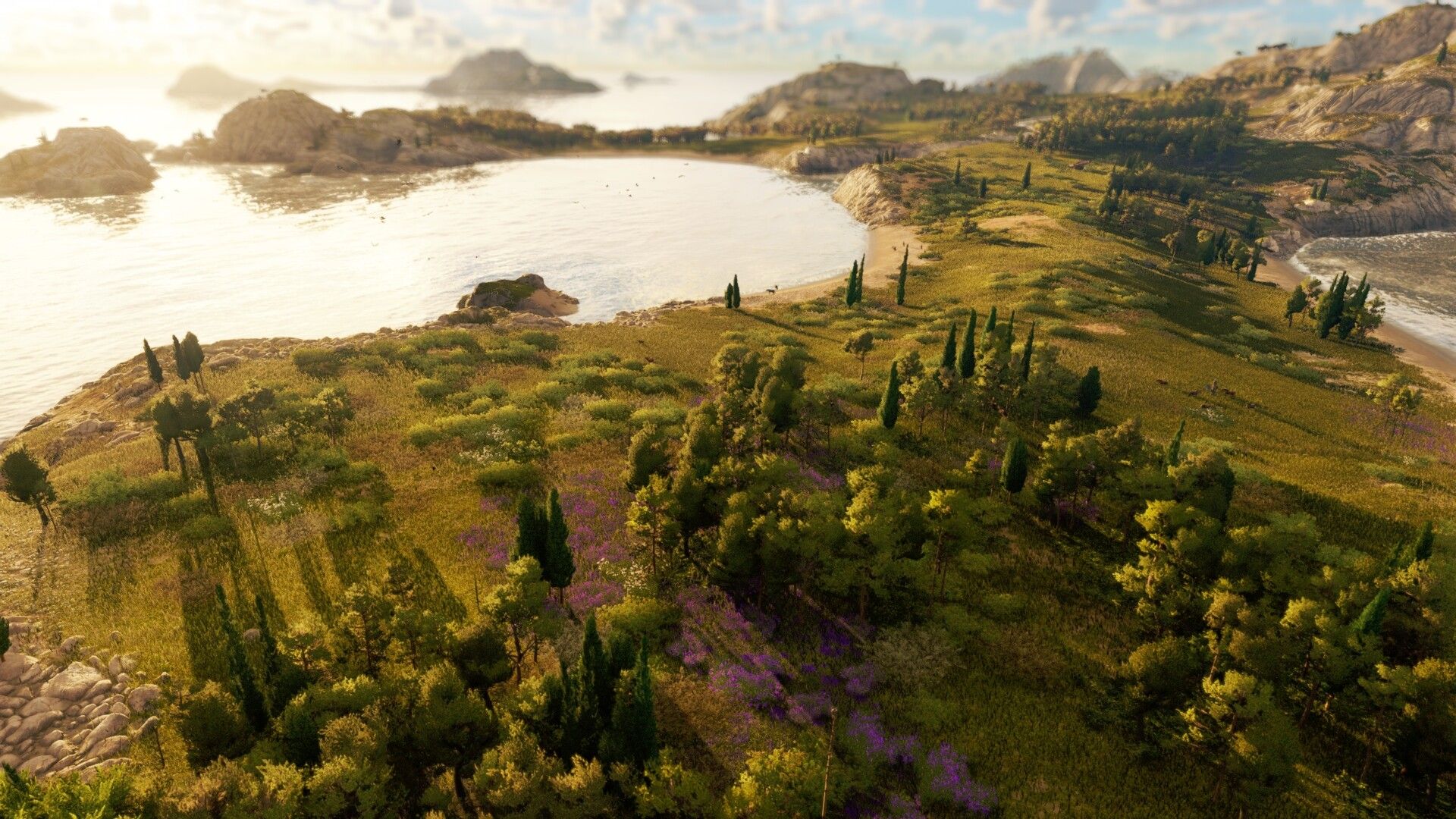 anno-117-pax-romana-press-image-7.jpg