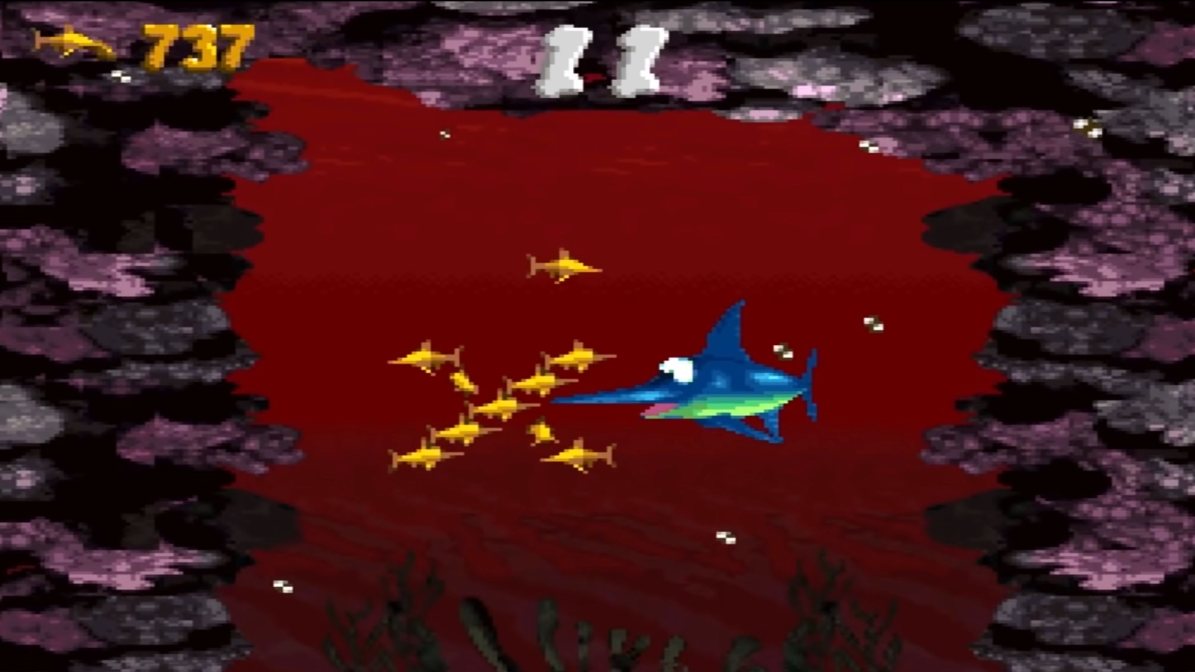 donkey-kong-country-in-game-screenshot-1.jpg