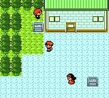 poke-mon-gold-press-image-3.jpg