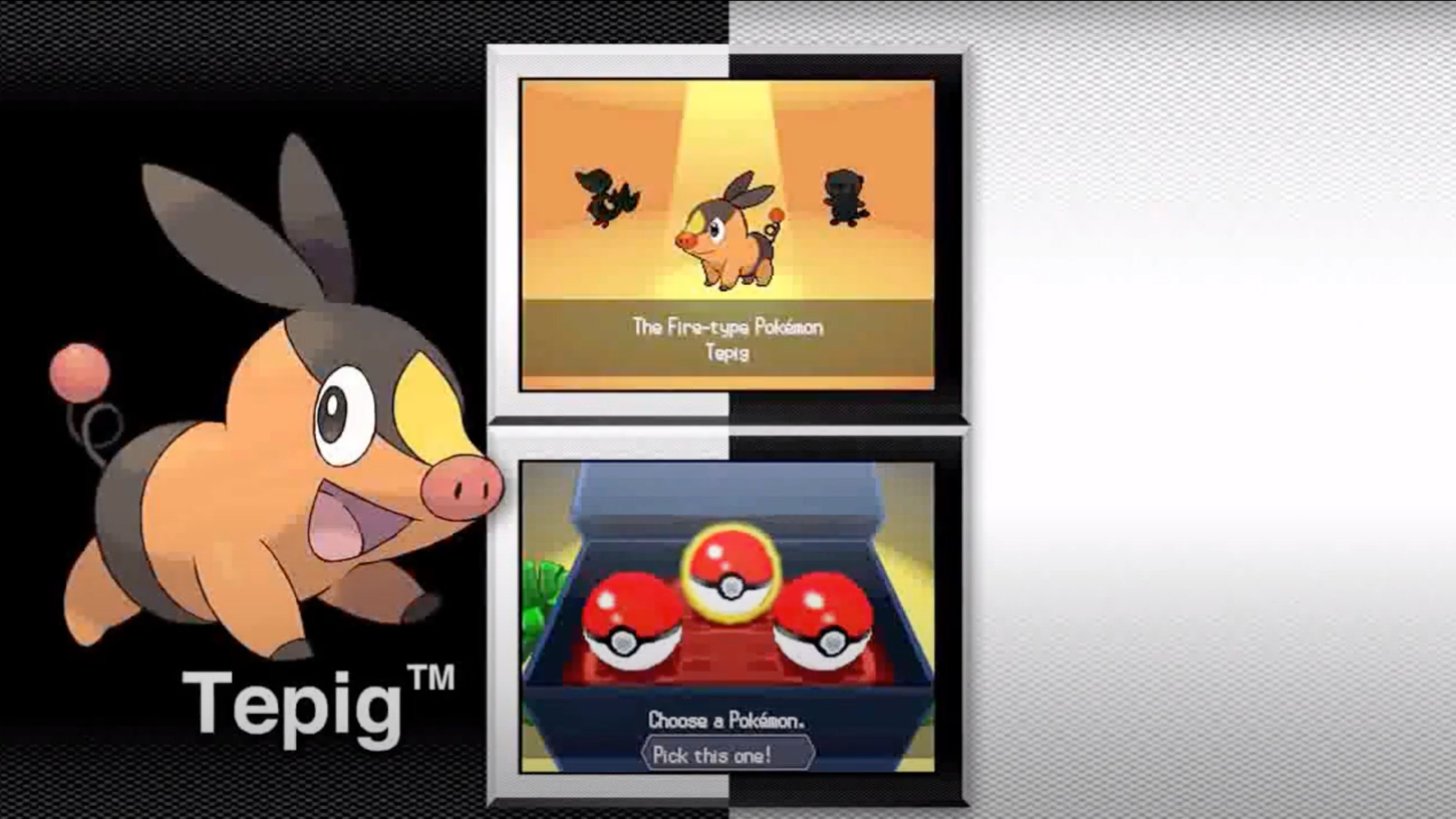 pokemon-black-and-white-in-game-screenshot-3.jpg