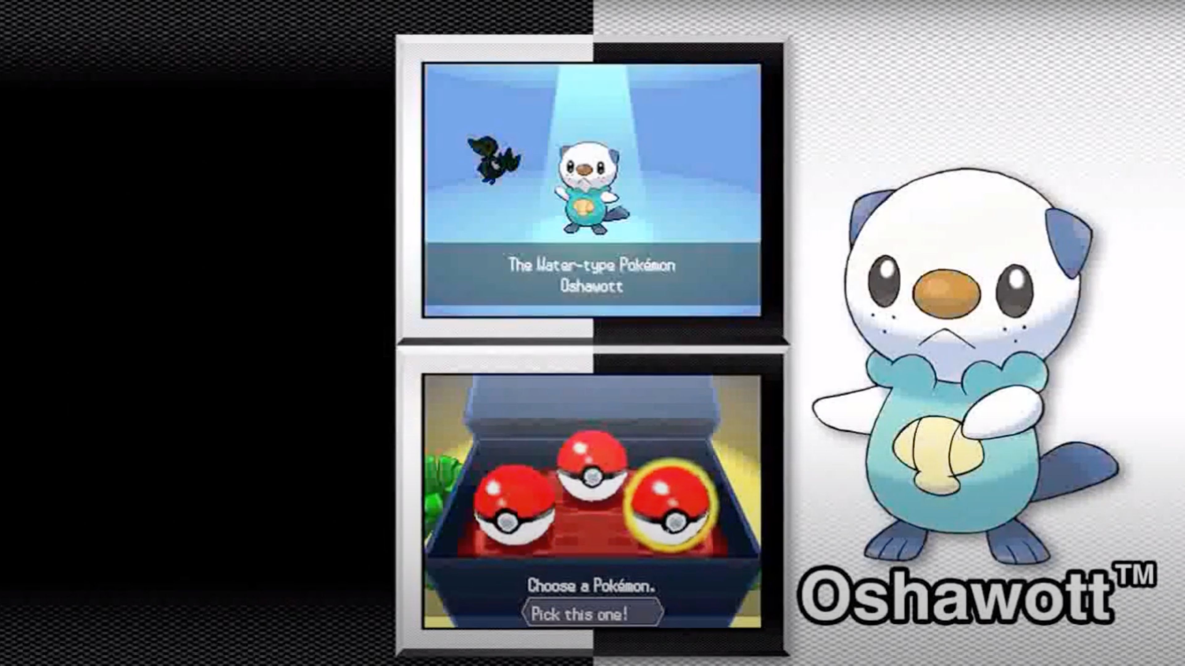 pokemon-black-and-white-in-game-screenshot-4.jpg