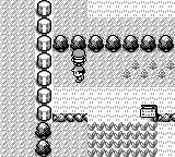 pokemon-red-press-image-4.png