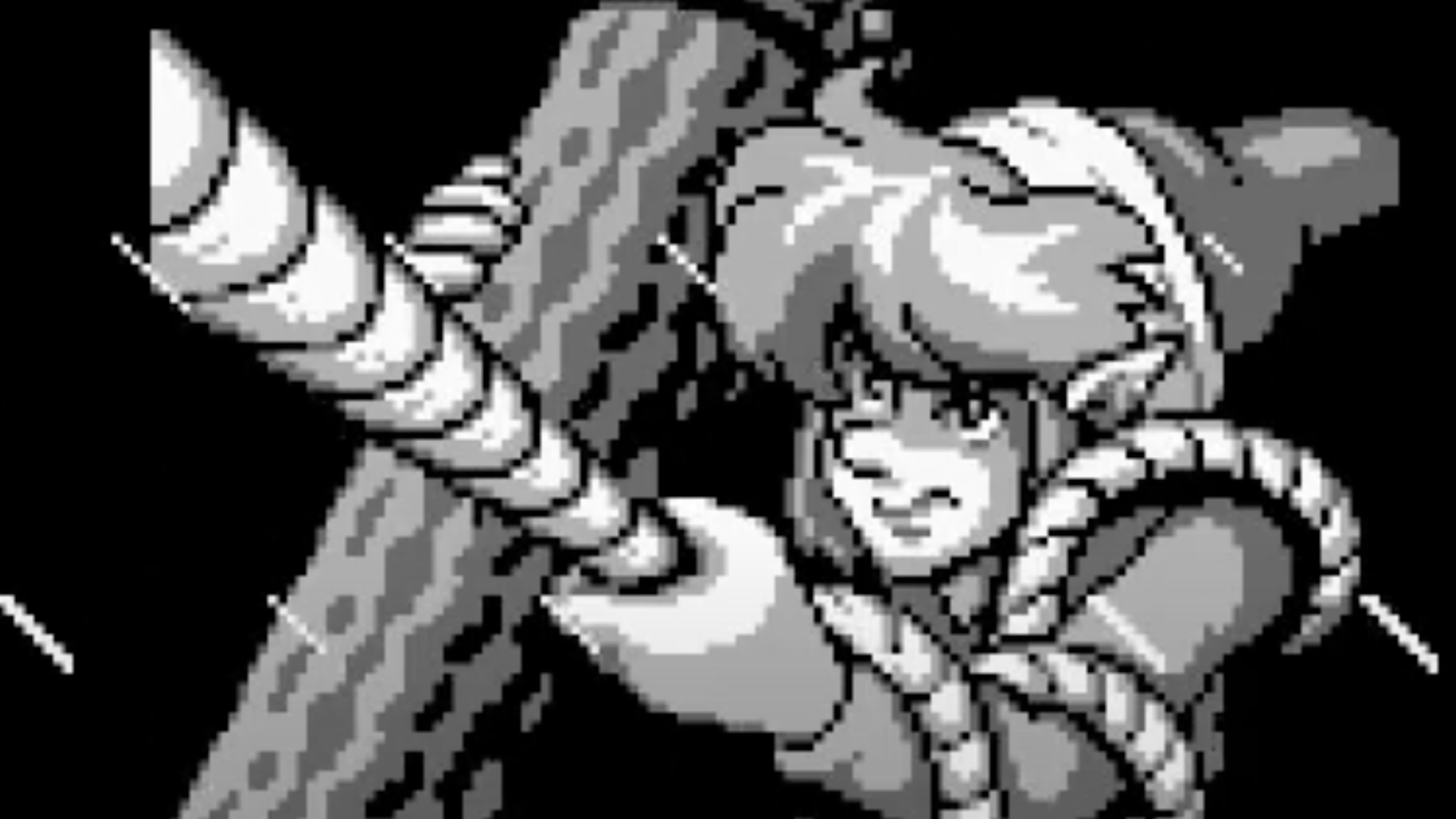 the-legend-of-zelda_-link-s-awakening-in-game-screenshot-1.jpg
