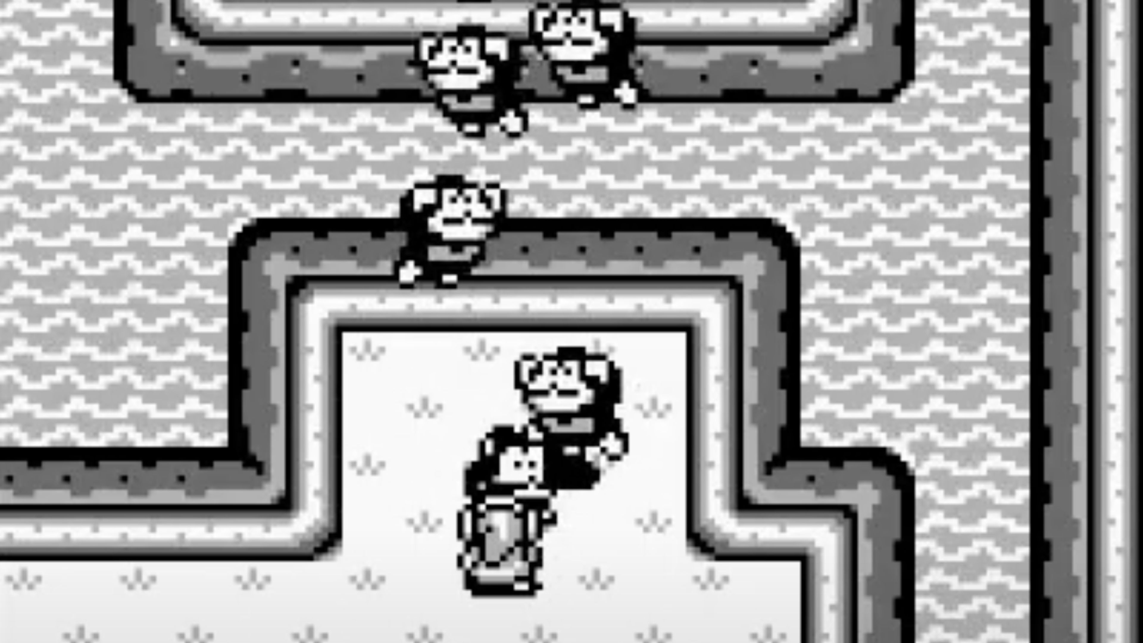 the-legend-of-zelda_-link-s-awakening-in-game-screenshot-5.jpg