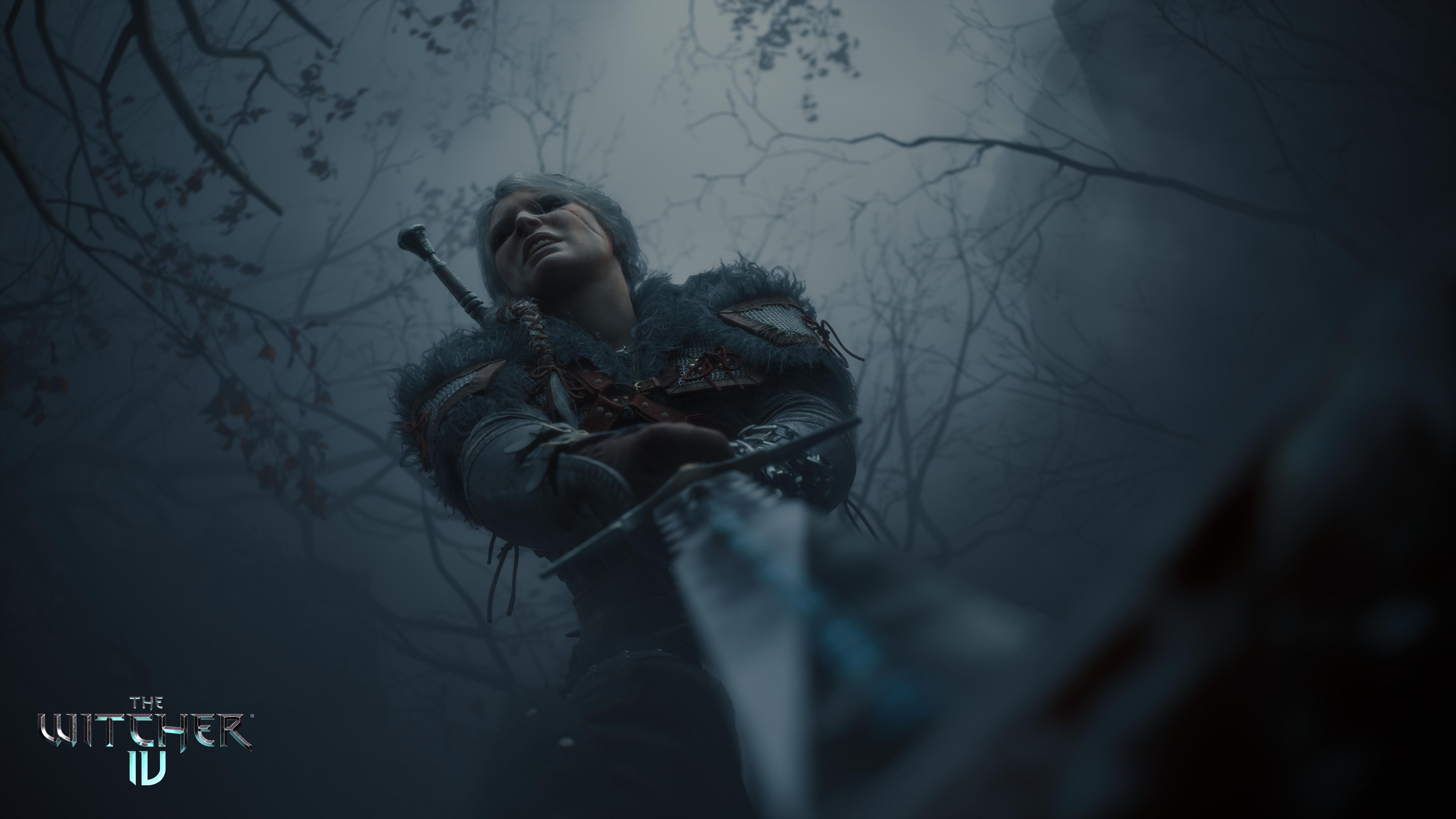 the-witcher-iv-press-image-6.jpeg