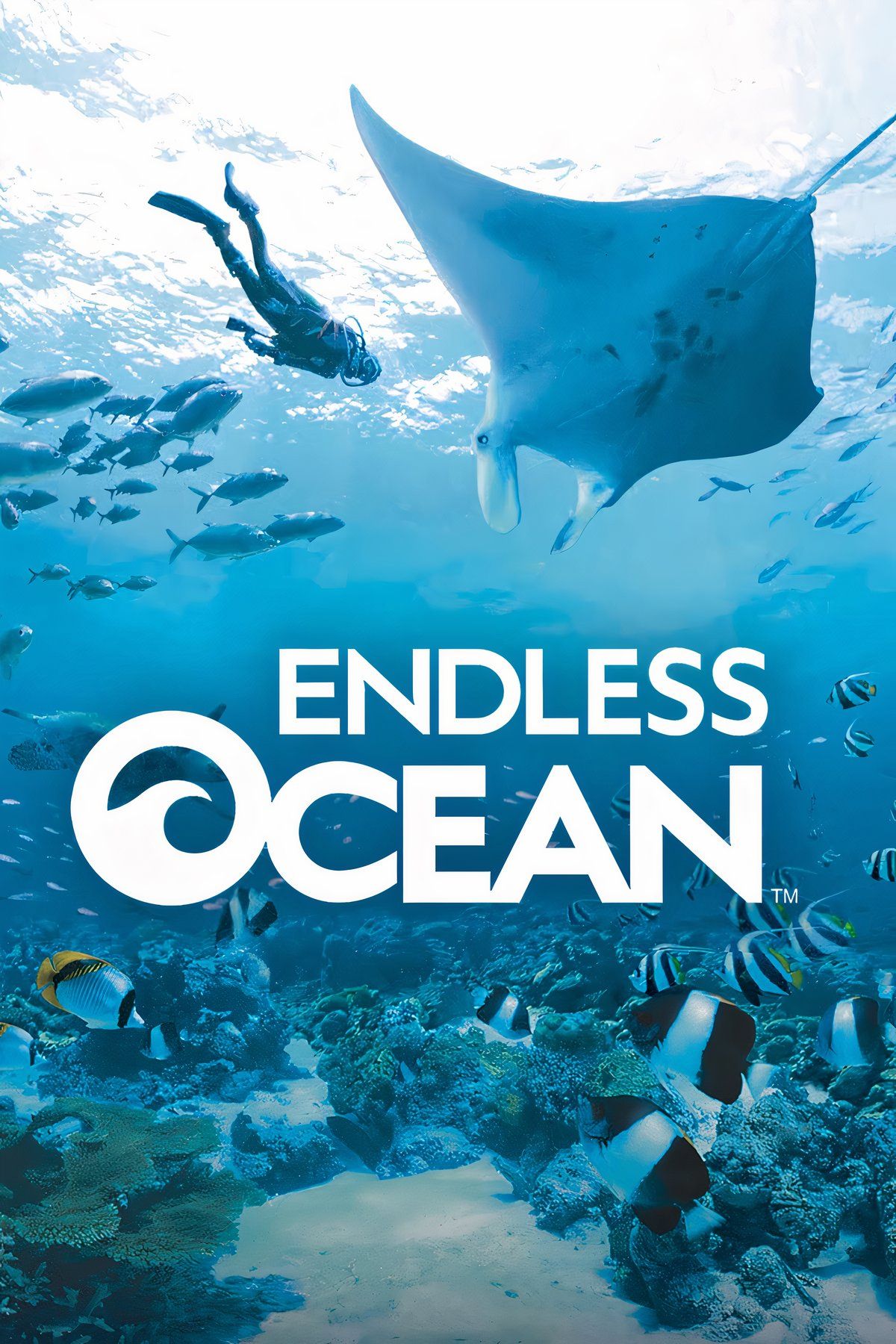 endless-ocean-tag-page-cover-art-1.jpg