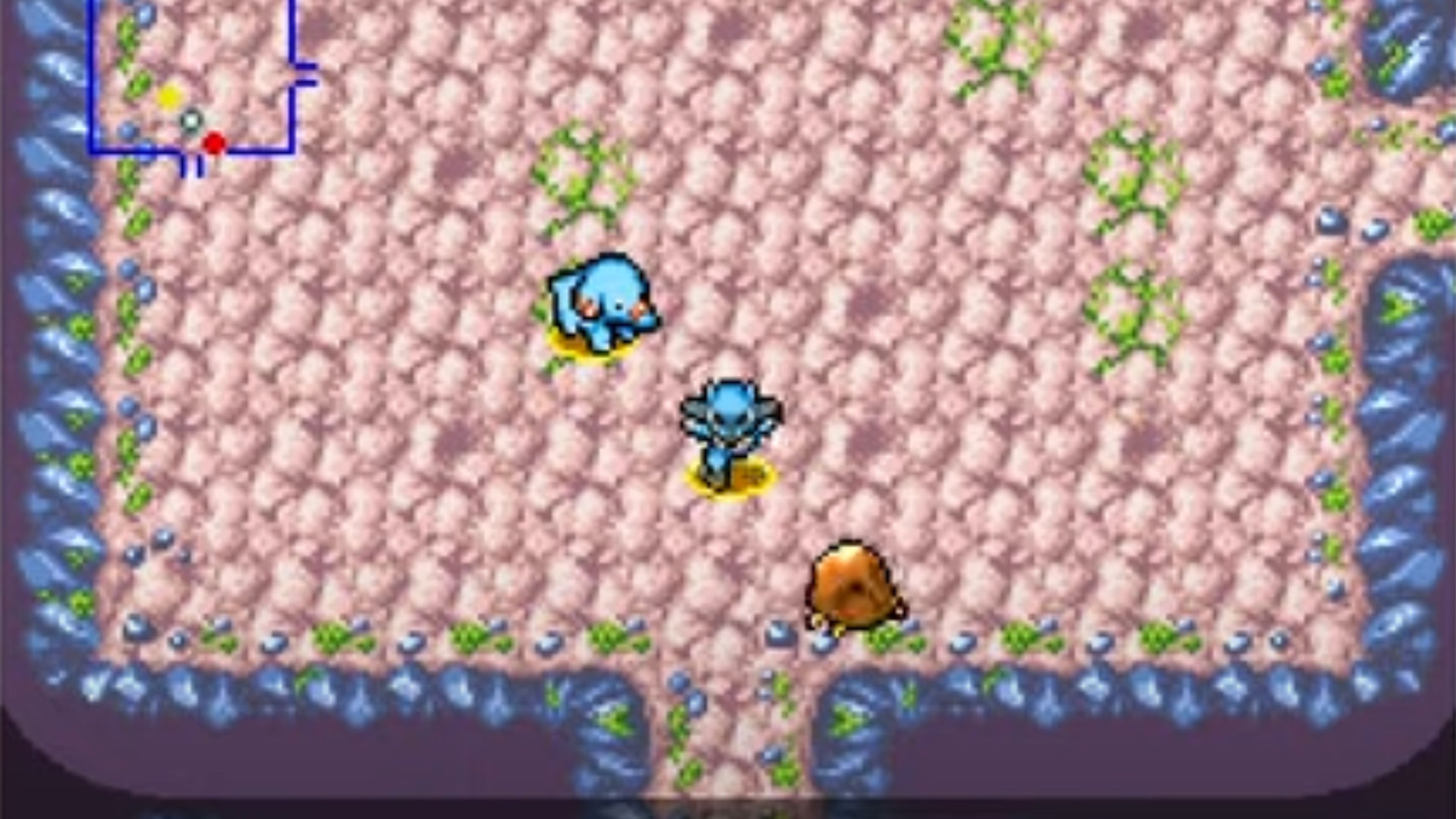 pokemon-mystery-dungeon_-explorers-of-sky-in-game-screenshot-2.jpg