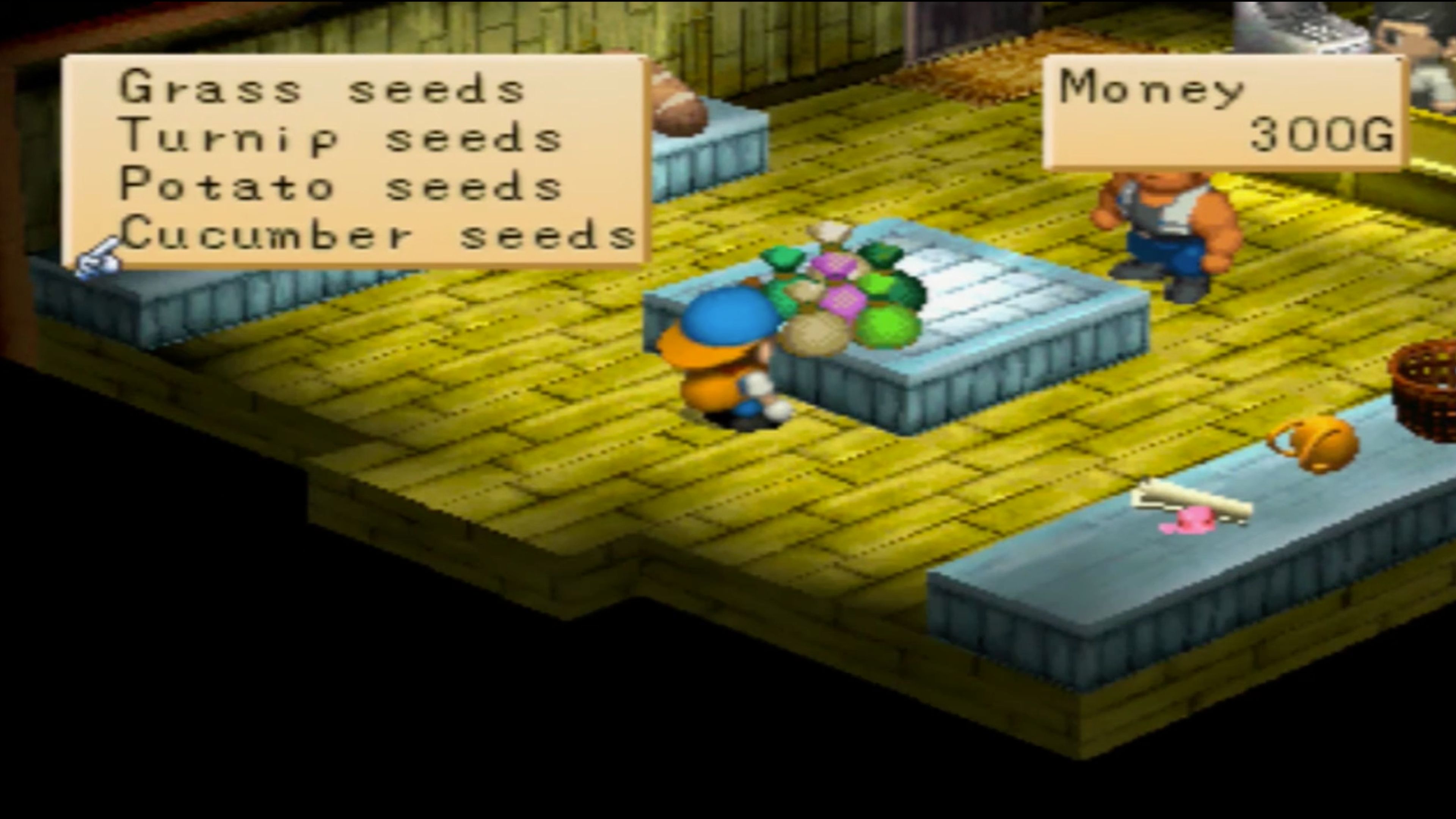 harvest-moon_-back-to-nature-in-game-screenshot-1.jpg