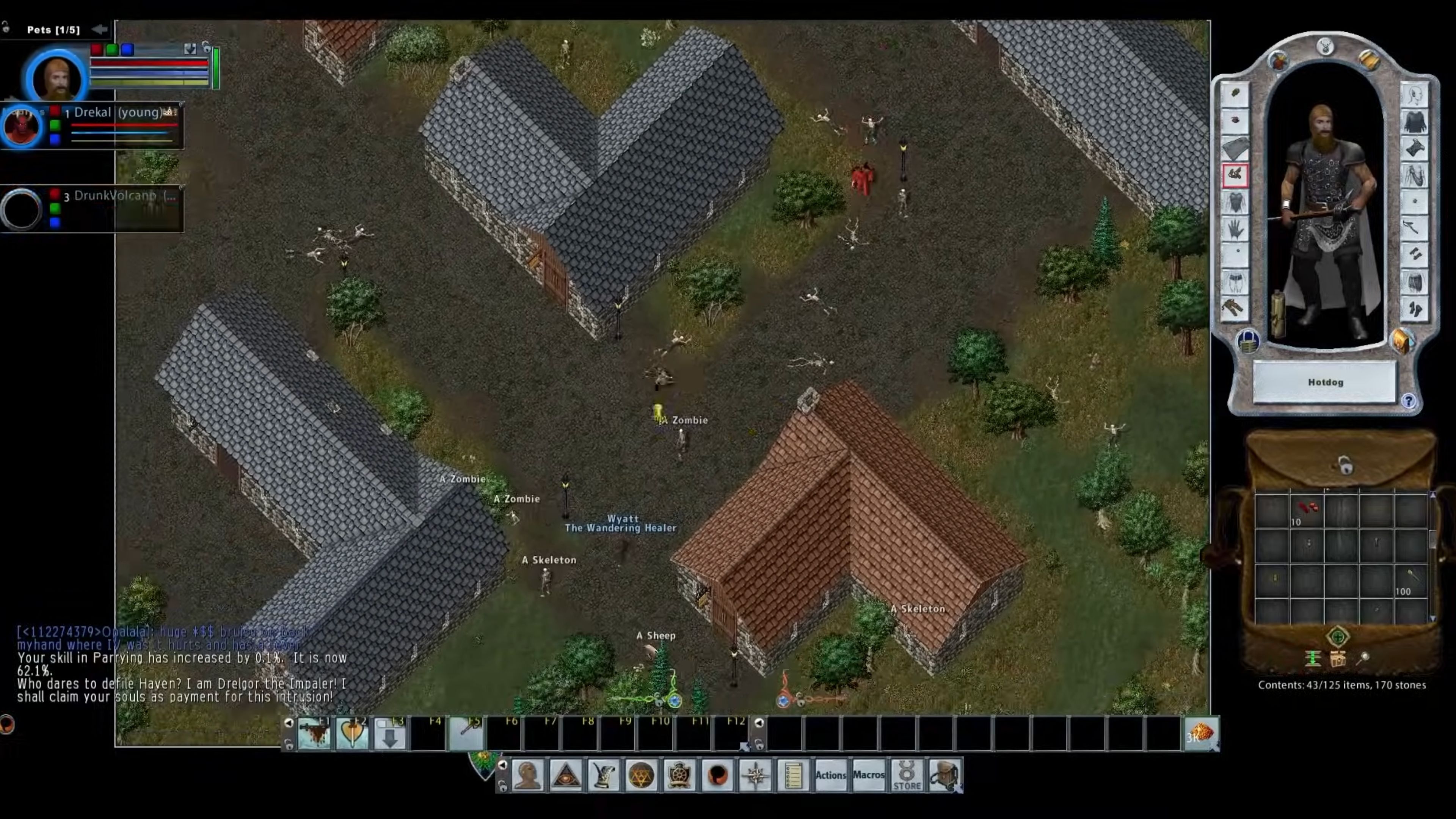 ultima-online-in-game-screenshot-3.jpg