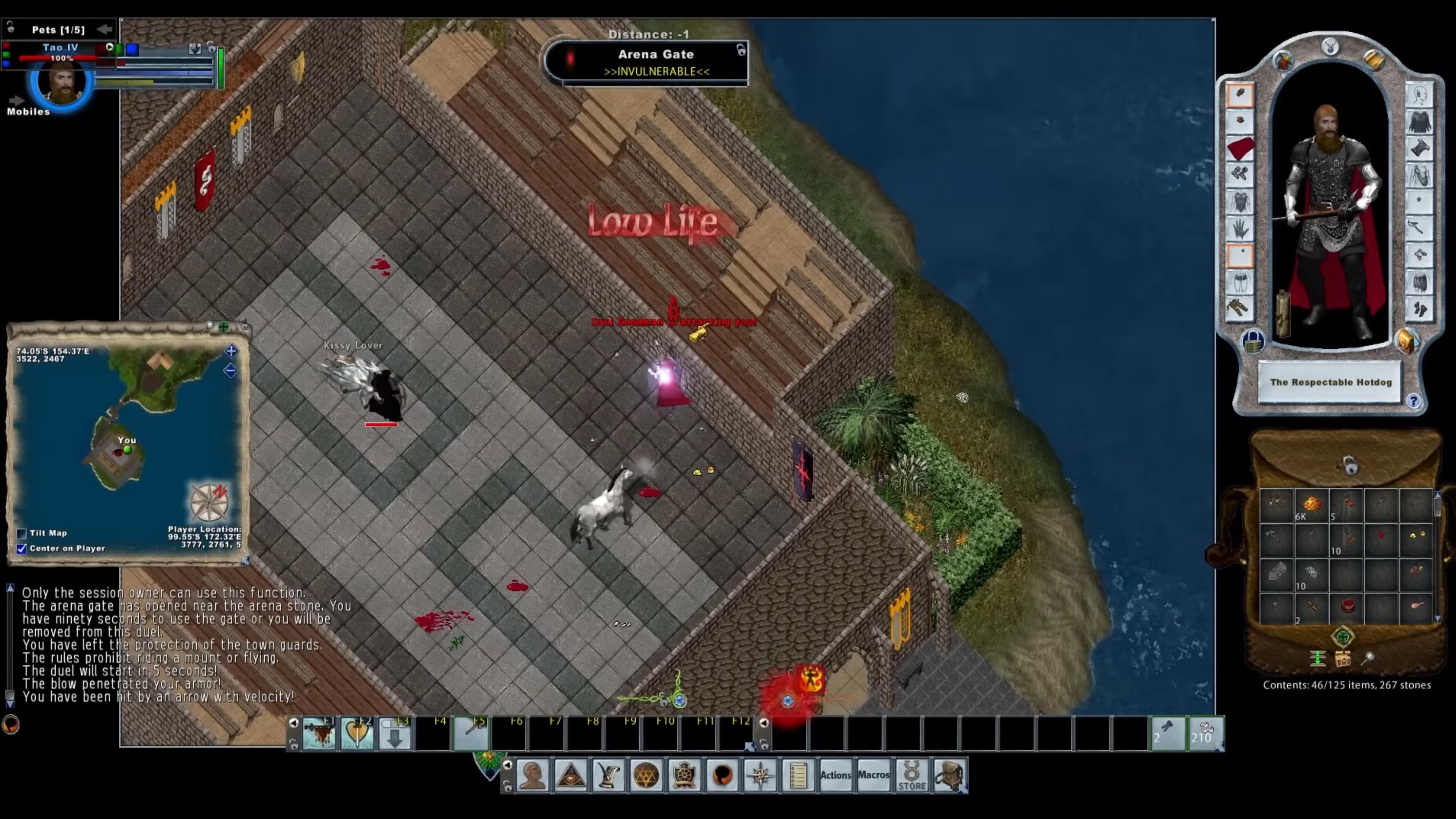 ultima-online-in-game-screenshot-4.jpg