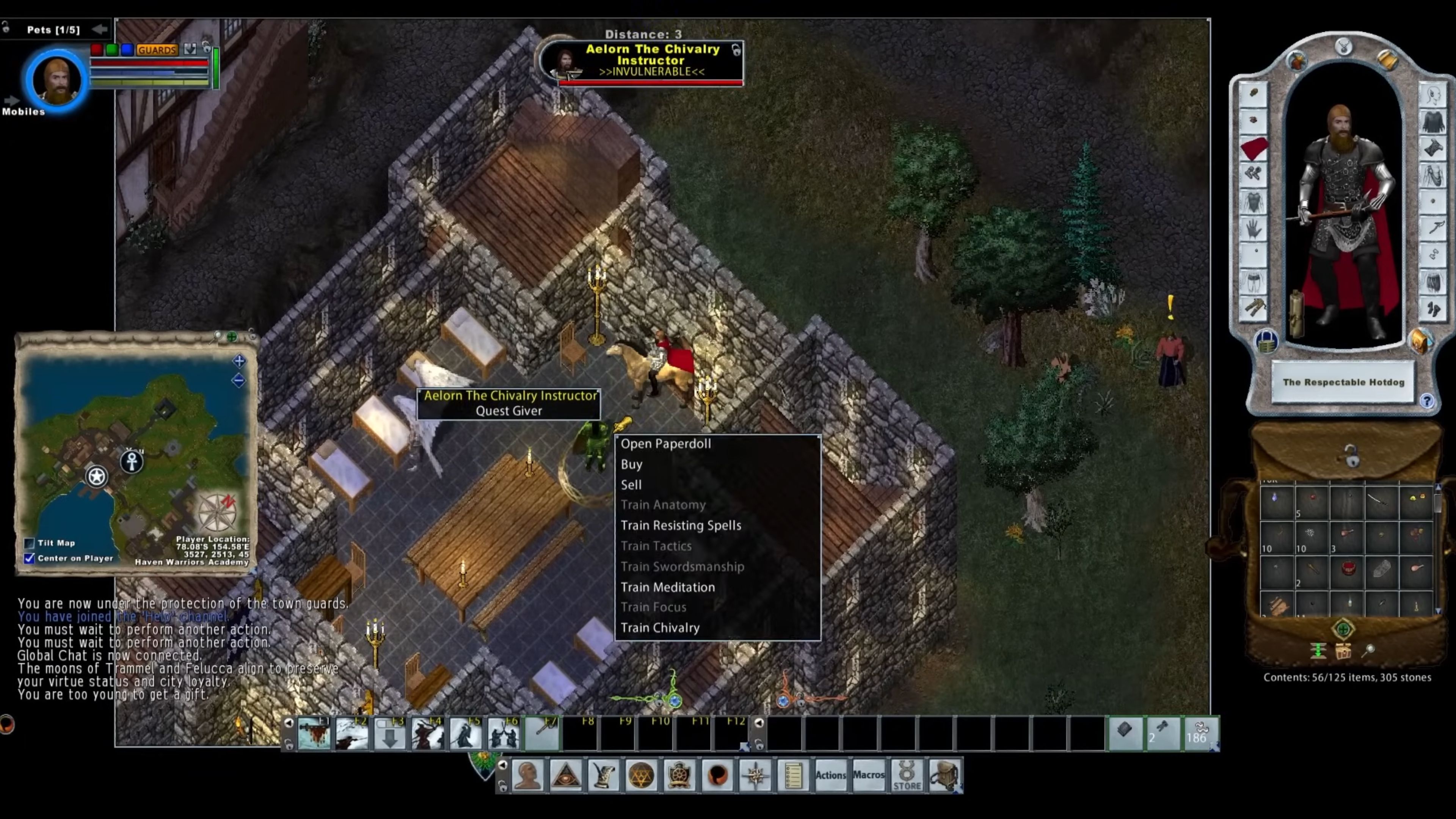 ultima-online-in-game-screenshot-6.jpg