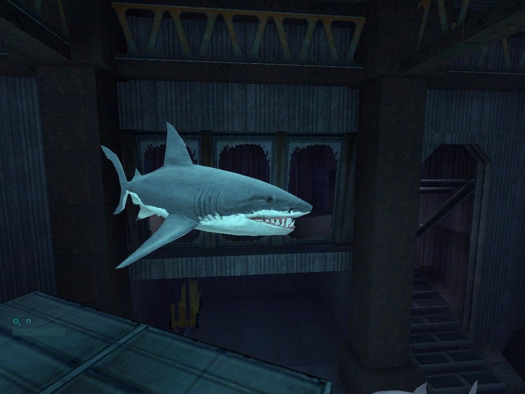 3132556-the-operative-no-one-lives-forever-screenshot-a-hungry-shark-spo.jpg