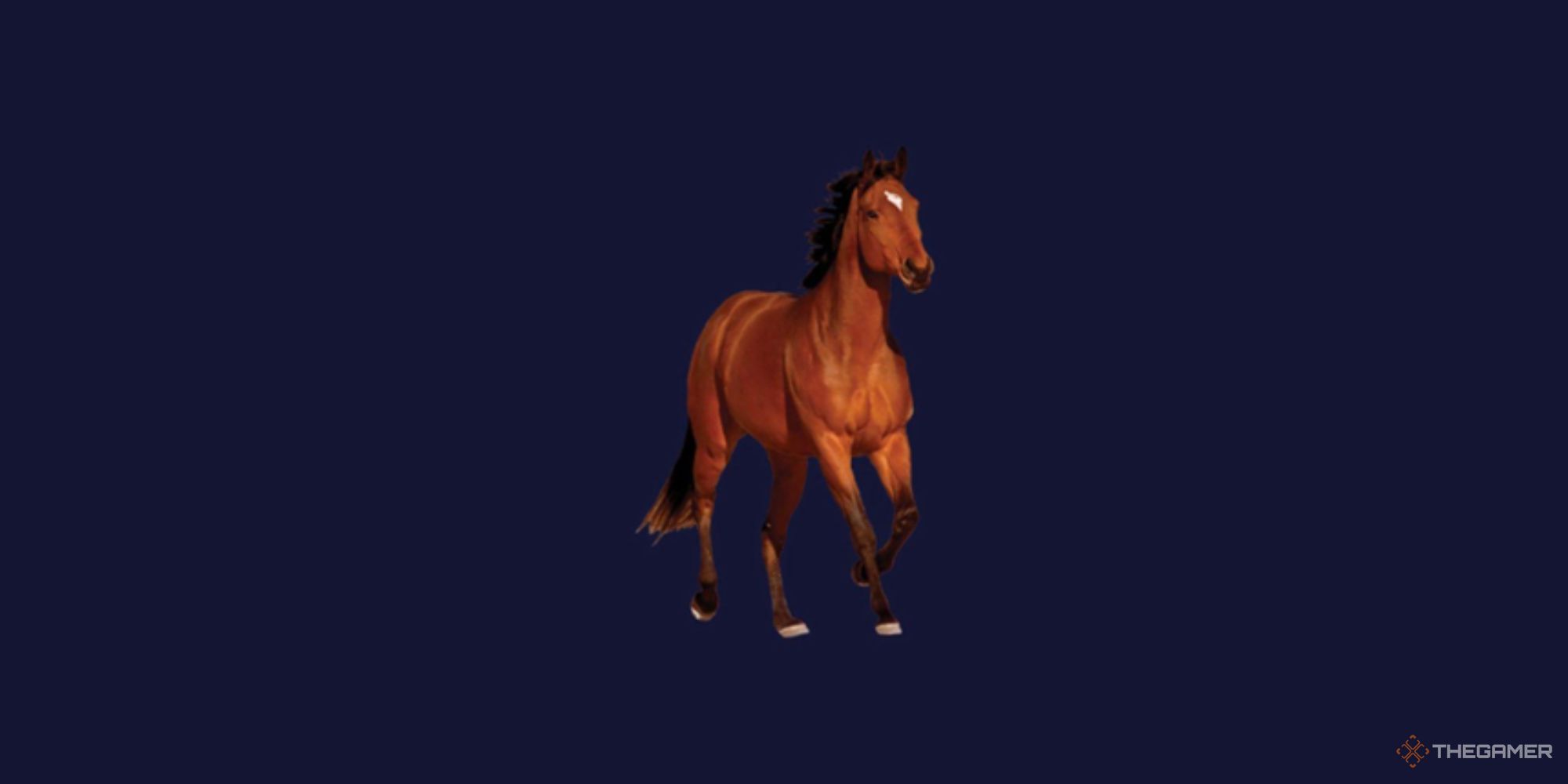 An image of a horse on a dark blue background