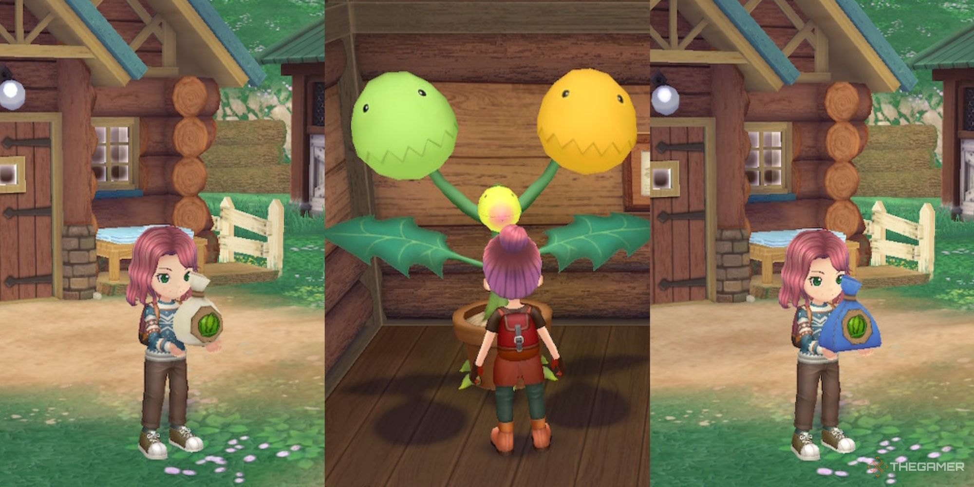 vinnie upgrading watermelon seeds from b grade to s grade story of seasons a wonderful life crop grades guide