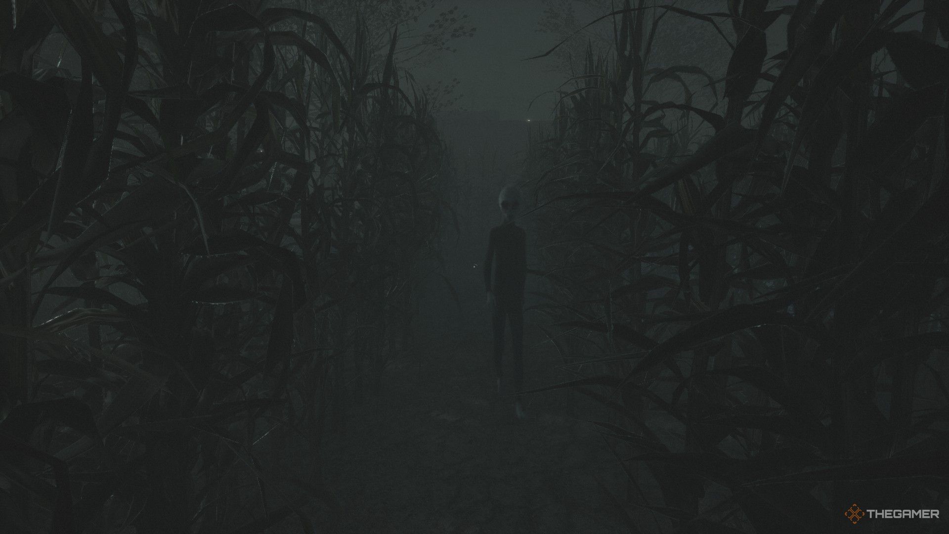 grey alien in corn field in Greyhill Incident