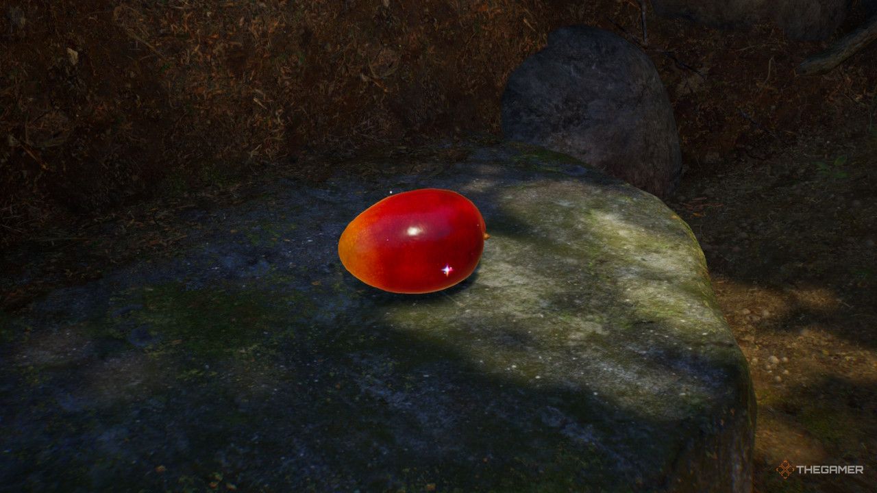 a mango on a ledge treasure in Pikmin 4