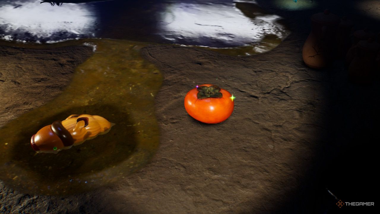 a small orange near muck  treasure in Pikmin 4