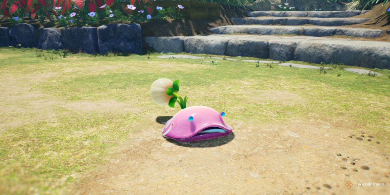 A Toady Bloyster in Pikmin 4