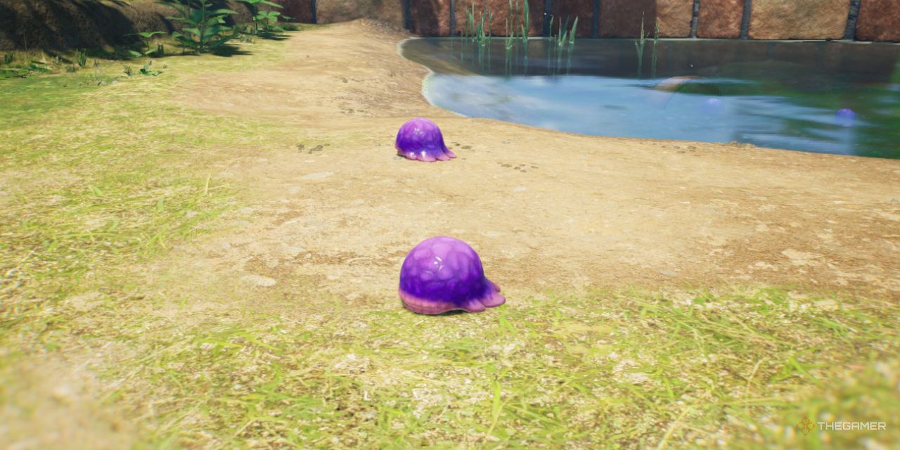 A Water Dumple in Pikmin 4