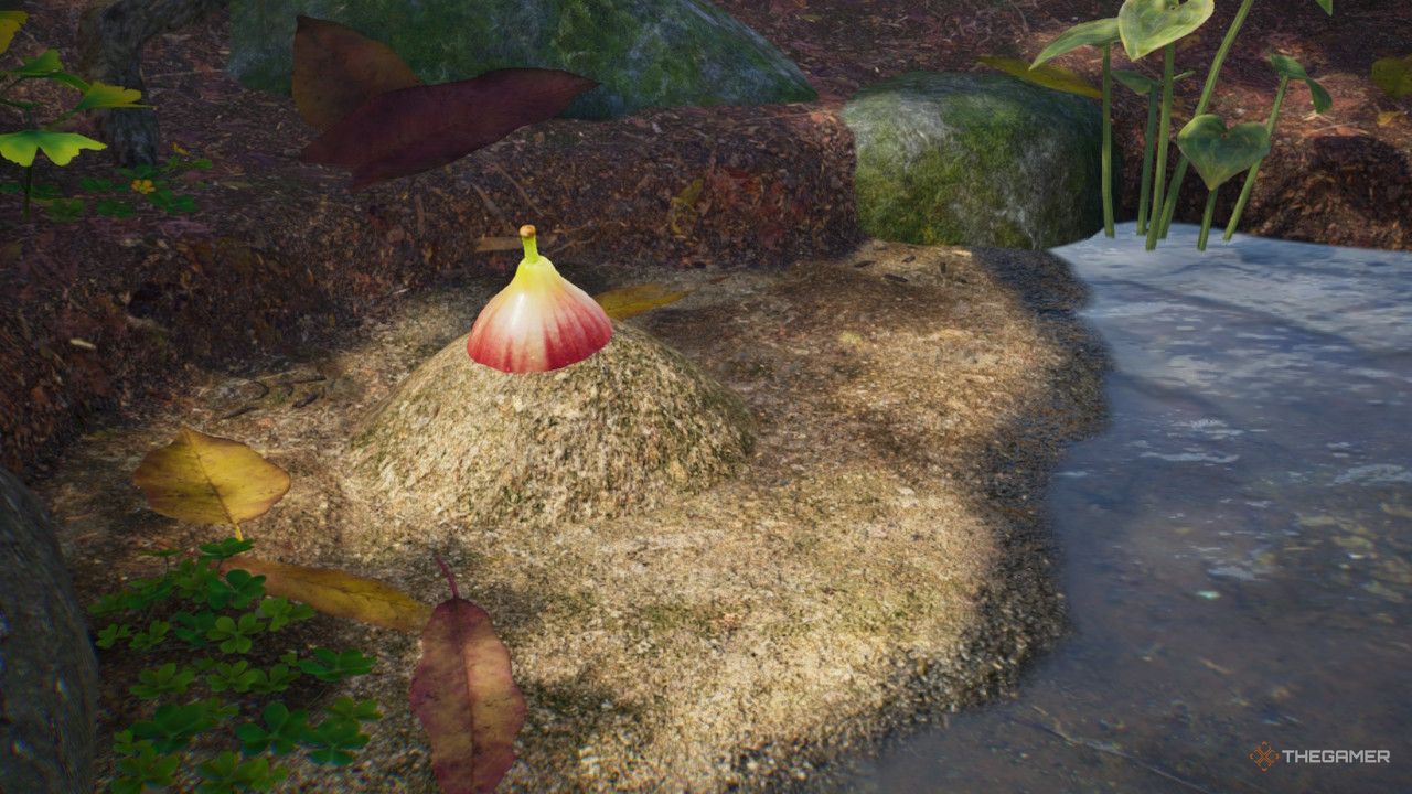another weird fruit behind water treasure in Pikmin 4