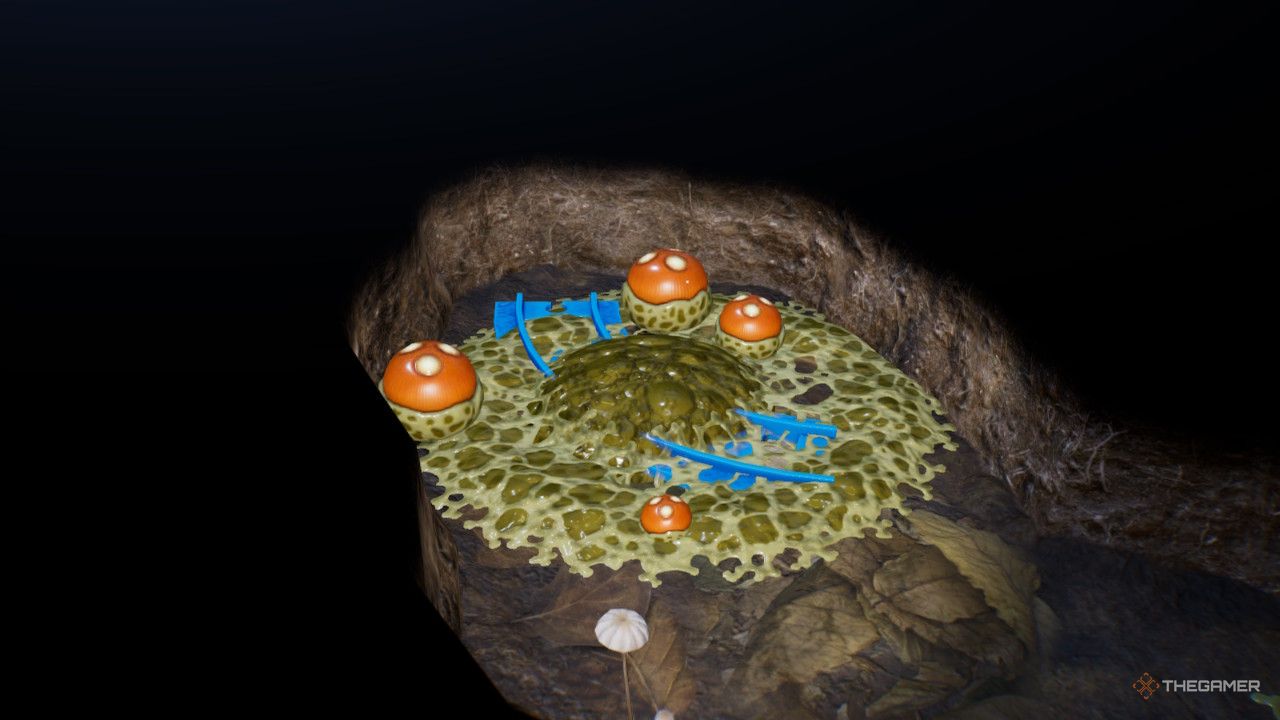 blue train tracks in goo  treasure in Pikmin 4
