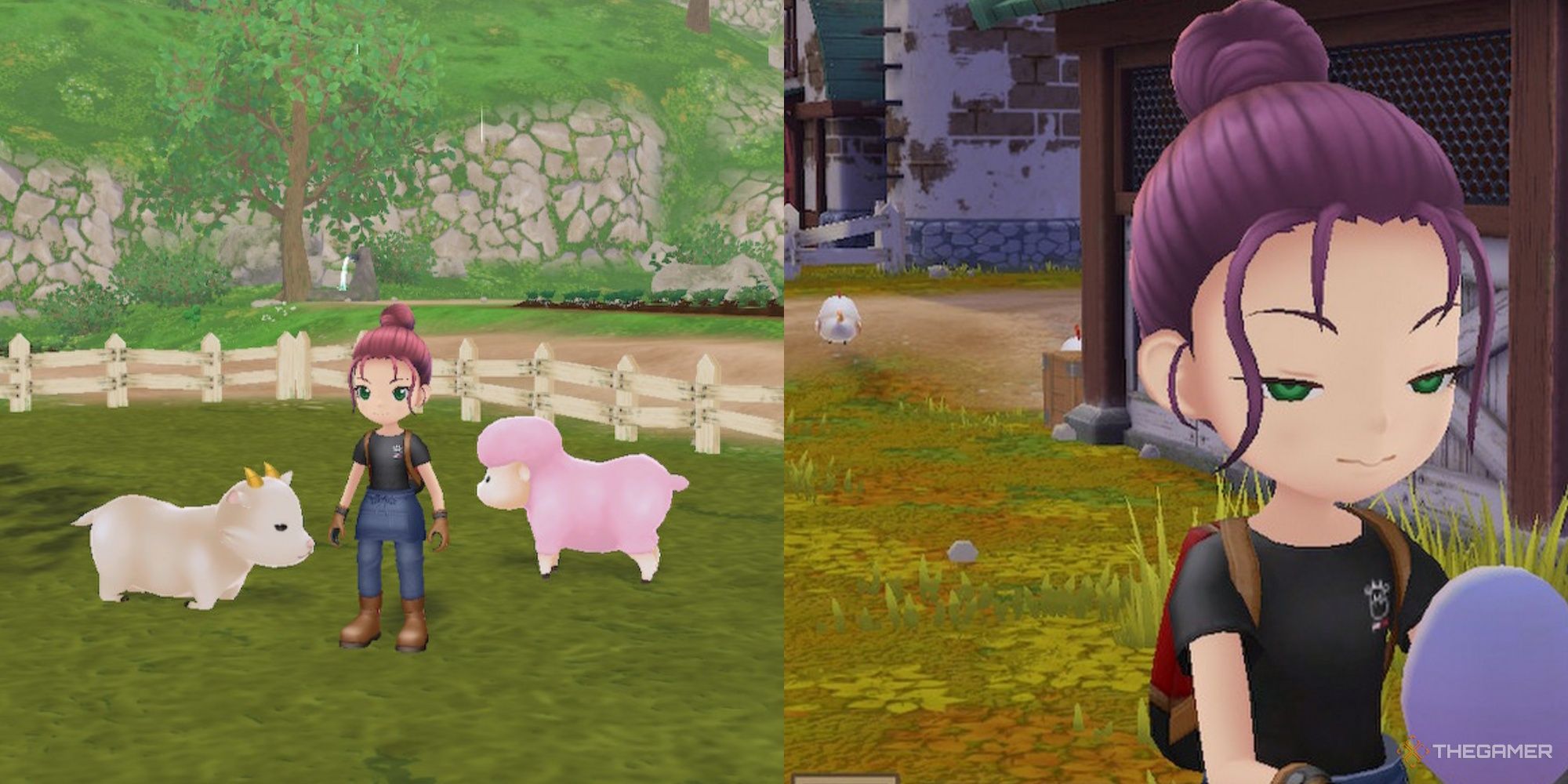 story of seasons a wonderful life farmer with the sheep, goat, and a fertilized egg